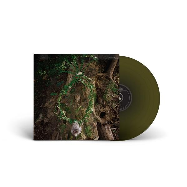 Ein Vinyl-Schallplattencover mit einer Person in einem Baum, bedeckt mit grünen Blättern und einer Schallplatte.