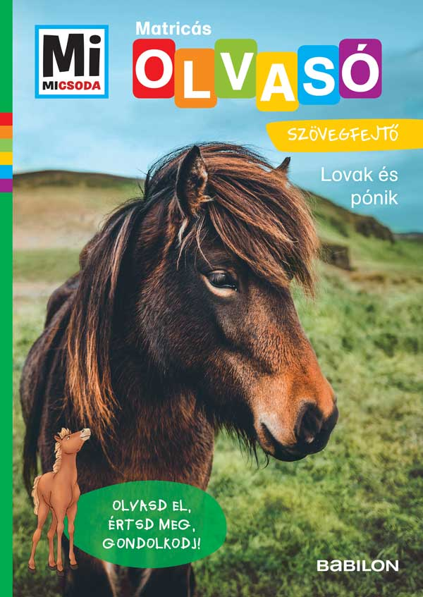Christina Braun - Mi micsoda olvasó Lovak és pónik Matricás szövegfejtő
