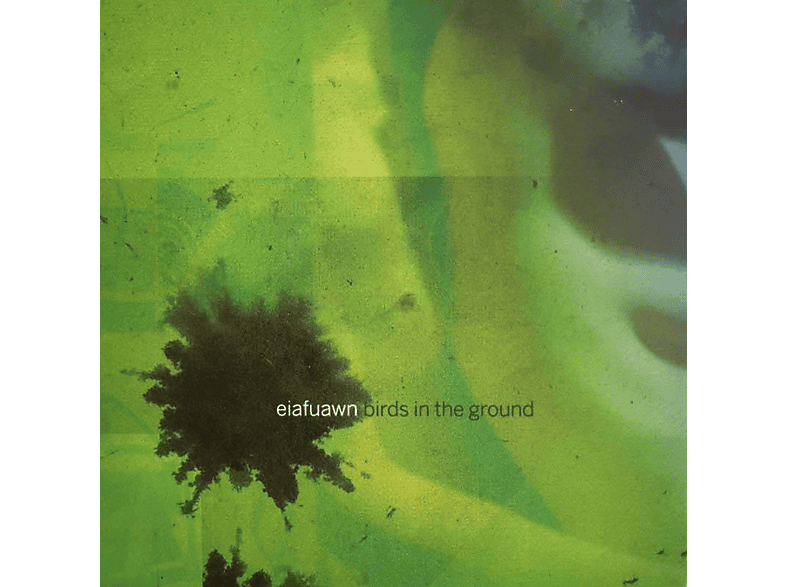 Eiafuawn - Birds in the Ground - (CD)