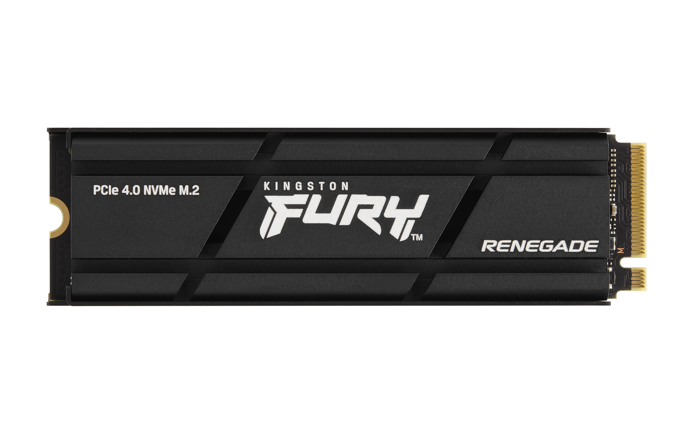 Kingston FURY Renegade NVMe M.2 SSD, schwarz mit weißem Logo, auf weißem Grund.