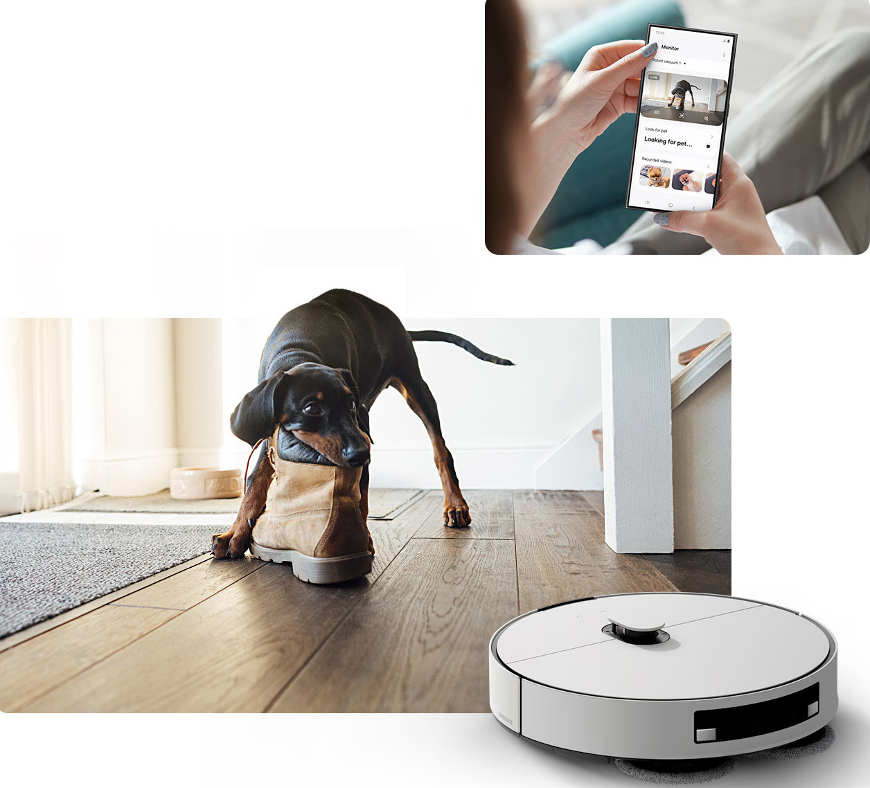 Pies z butem w pysku, kobieta trzymająca telefon i robot sprzątający.