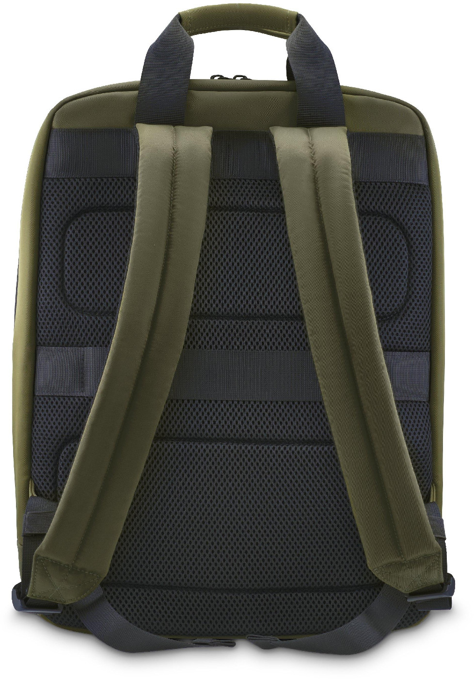 Tył zielonego plecaka z czarną siatką i paskami. Paski są regulowane.