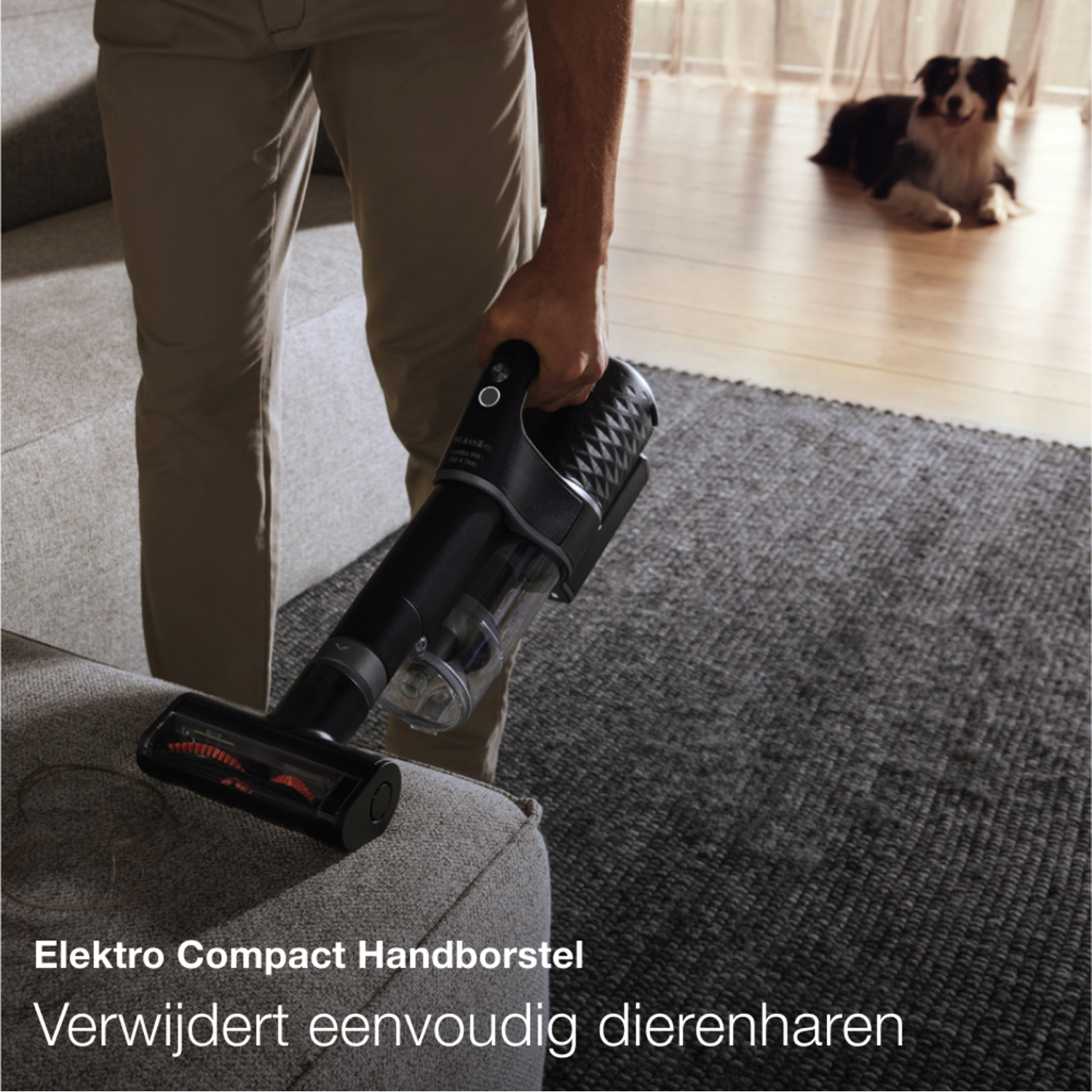 A person vacuums a couch with a black handheld vacuum. A dog sits on the carpet in the background.