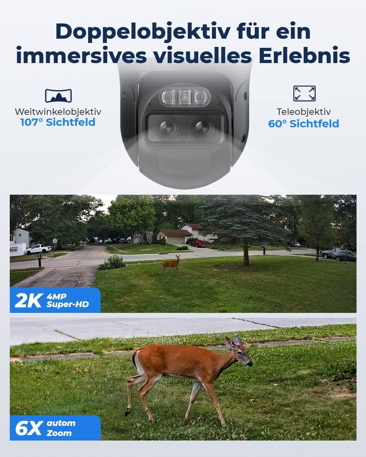 Überwachungskamera mit Doppellinsen, Hirsch im Hof und Grafik mit Zoom und Sichtfeld.