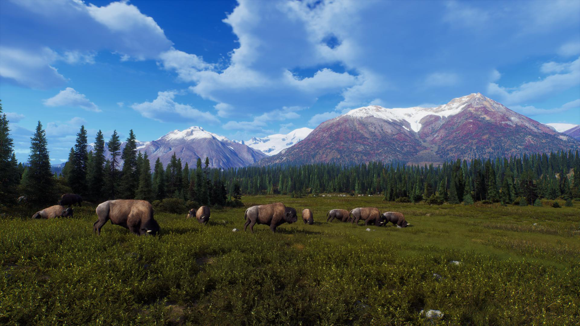 Landschaftsbild mit Bisons, die auf einer grünen Wiese grasen, mit Bäumen, Bergen und blauem Himmel im Hintergrund.