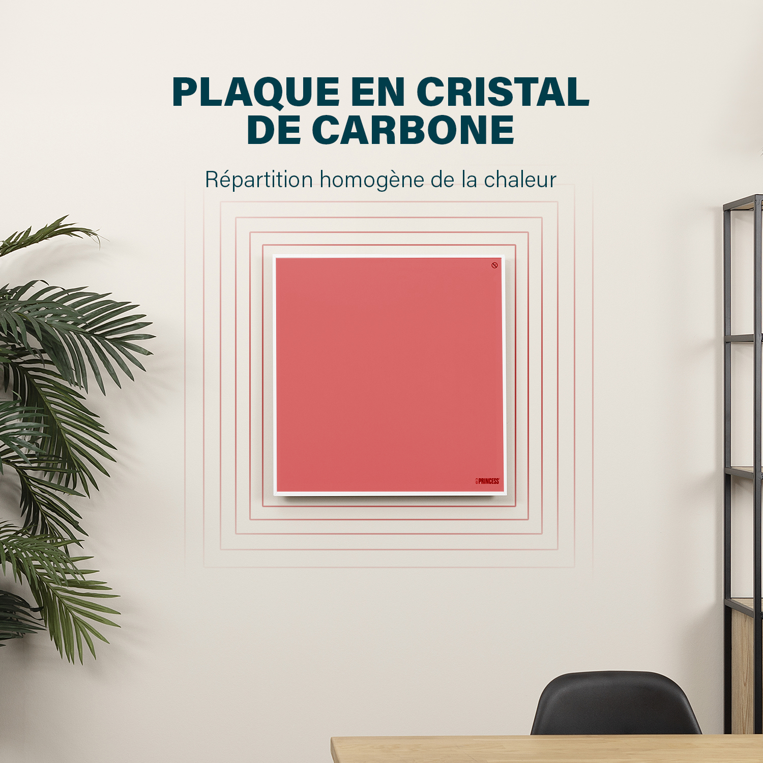 Un carré rouge sur un mur, avec le texte 'PLAQUE EN CRISTAL DE CARBONE'. Il y a une plante dans le coin.