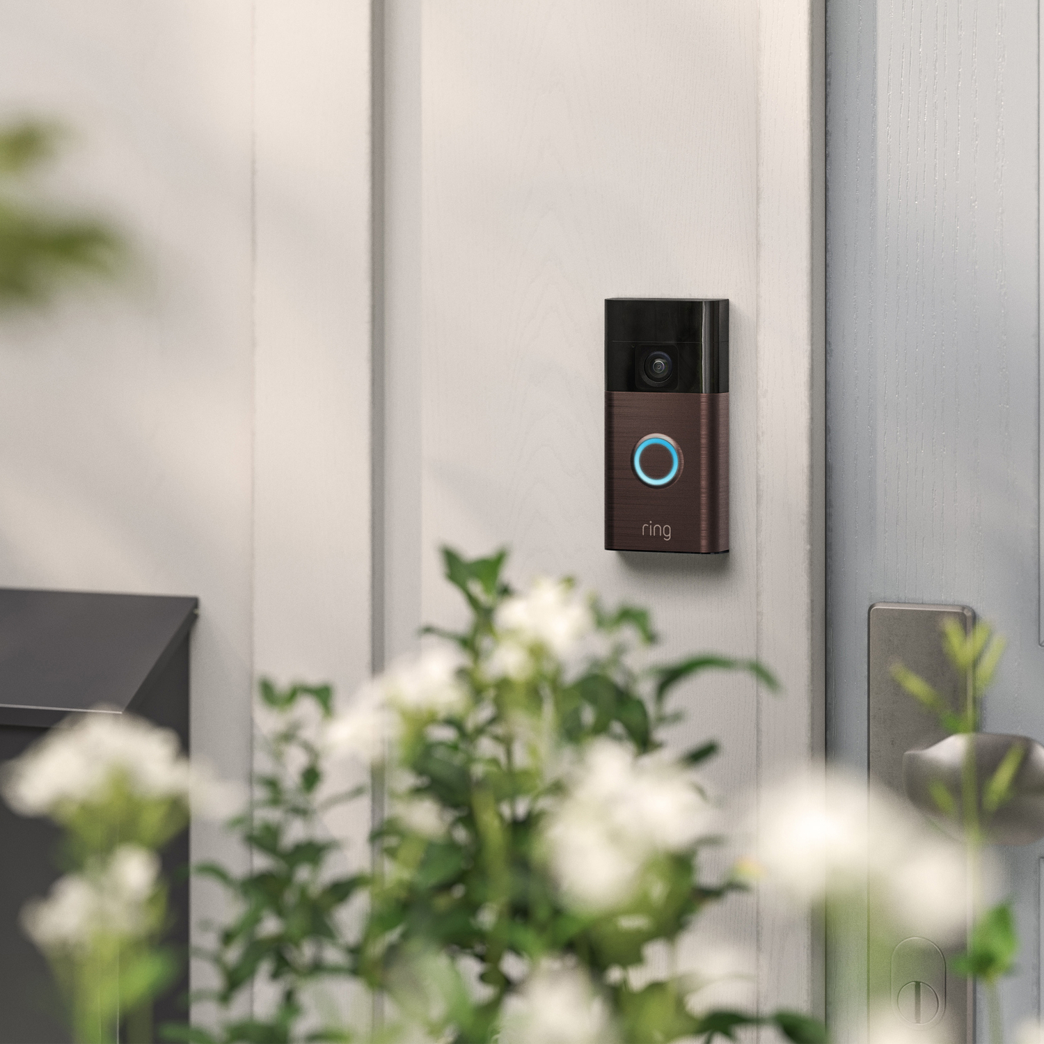 A Ring doorbell on a white door. The doorbell is brown with a blue light ring. Flowers in the foreground.