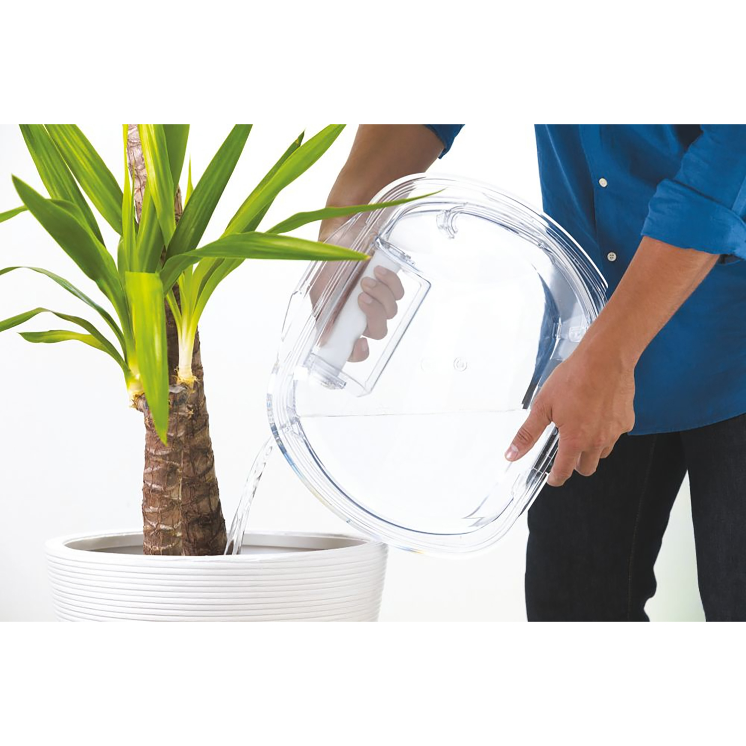 Una persona che annaffia una pianta con un contenitore d'acqua di plastica trasparente.