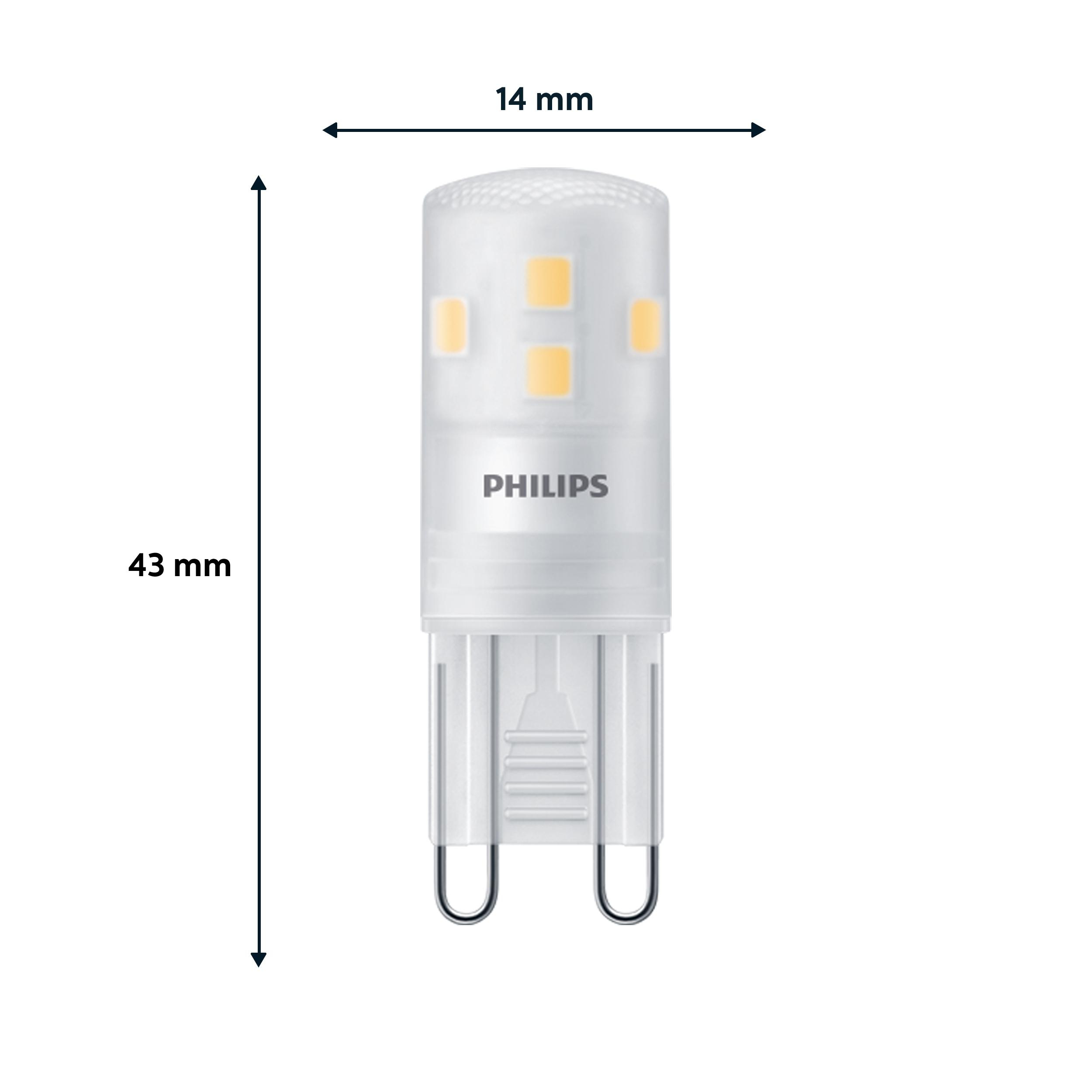 Eine kleine weiße LED-Glühbirne mit beschrifteten Abmessungen, auf weißem Hintergrund.