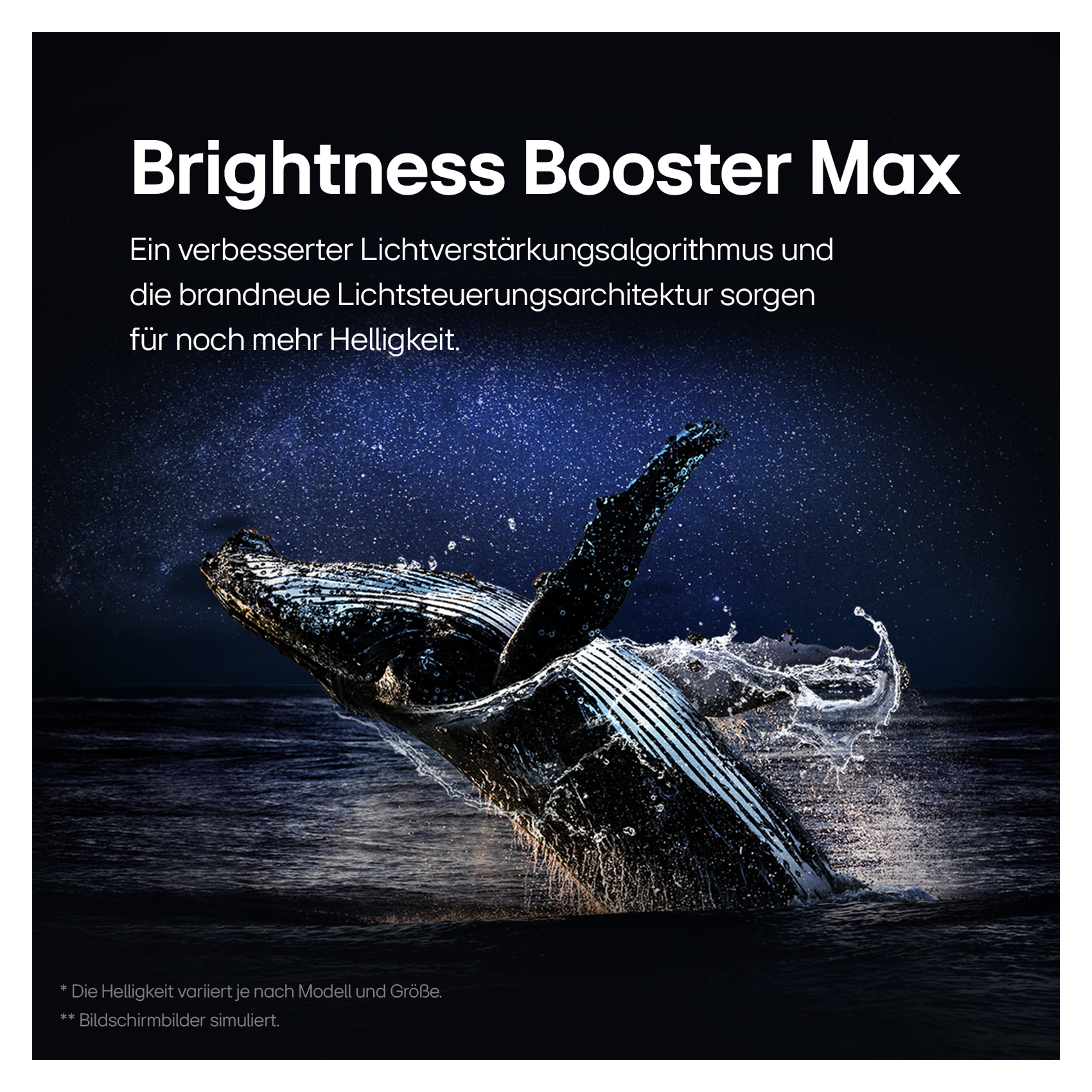Ein Wal bricht aus dem Wasser, mit dem Text 'Brightness Booster Max'.