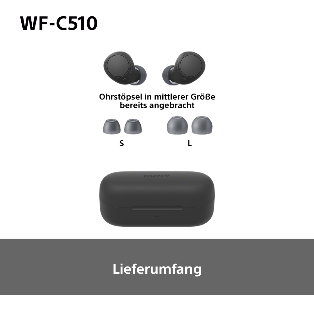 Ohrhörer und Zubehör in einem Etui, mit Text auf Deutsch.