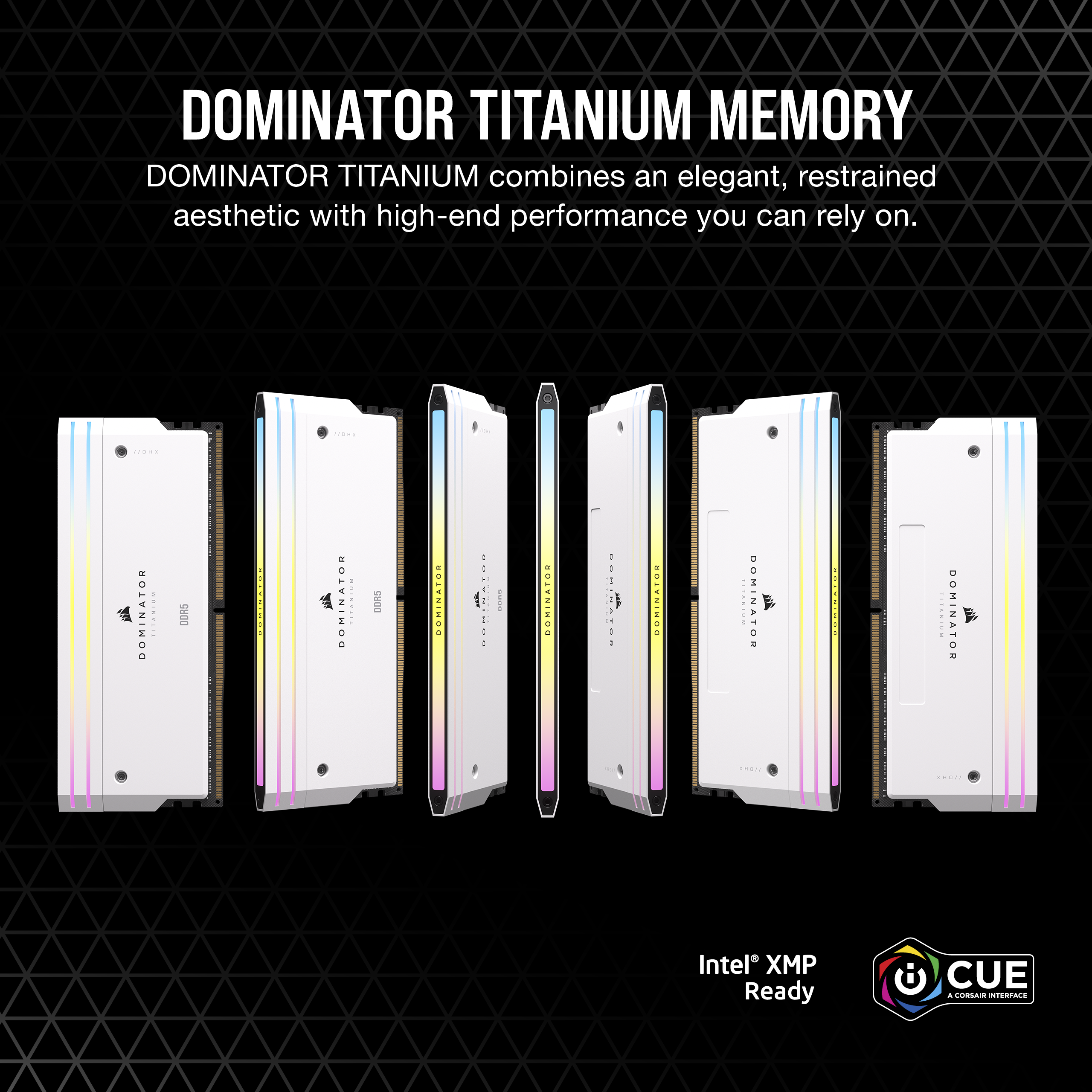 Moduli di memoria RAM con accenti bianchi e colorati. Testo: DOMINATOR TITANIUM MEMORY.