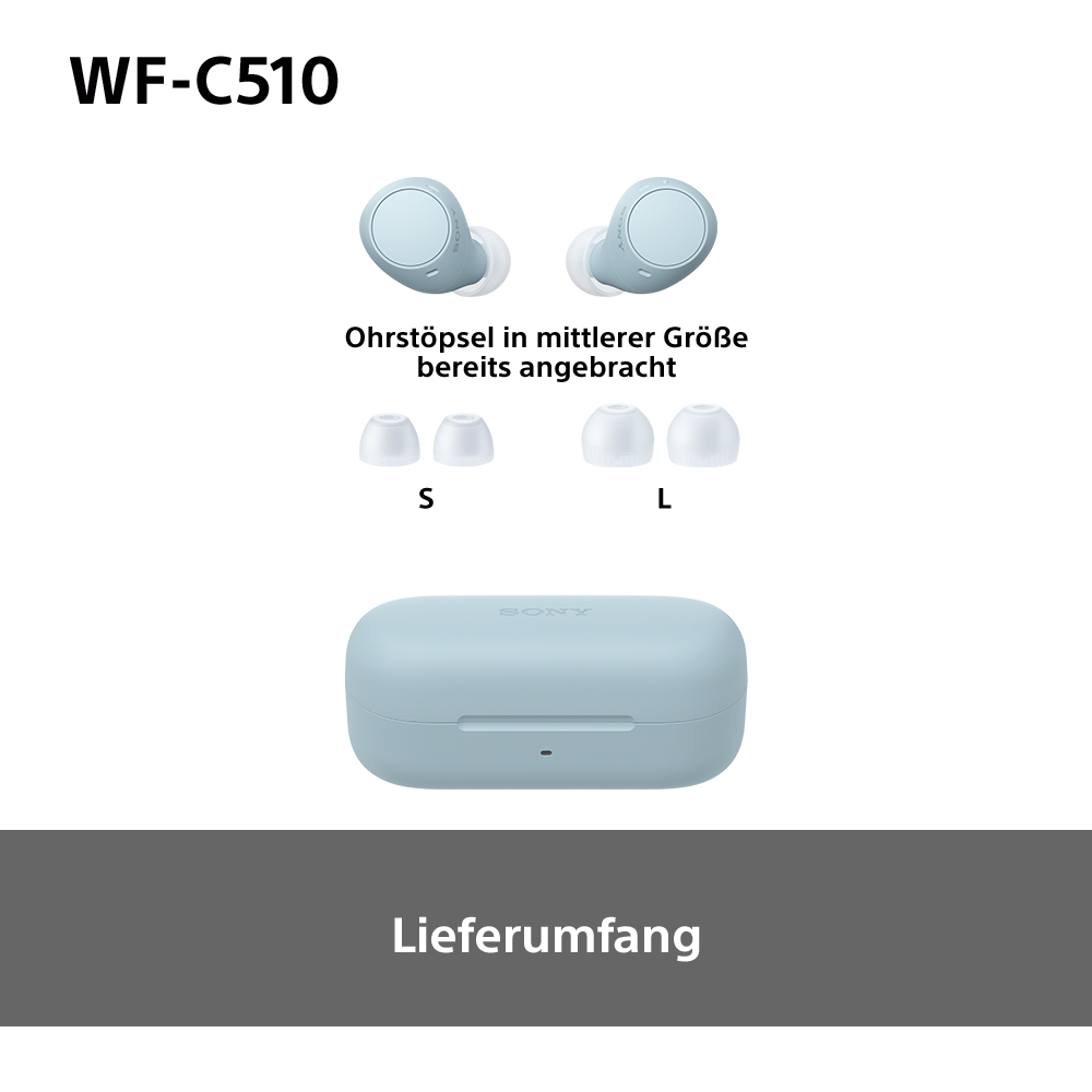 Blaue Ohrhörer, zusätzliche Ohrstöpsel und das Ladecase sind auf weißem Hintergrund zu sehen.
