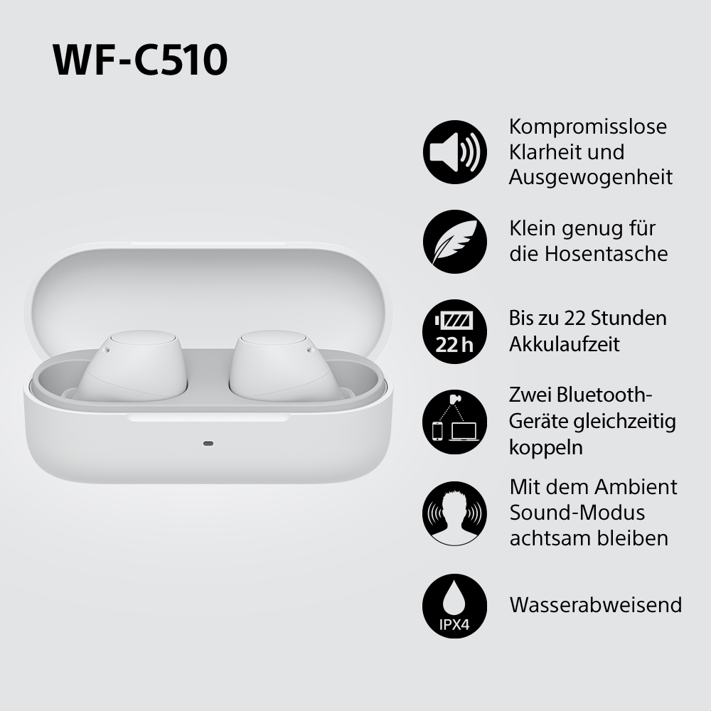 Weiße Ohrhörer mit Hülle und Symbolen. Text: Kompromisslose Klarheit und Ausgewogenheit.