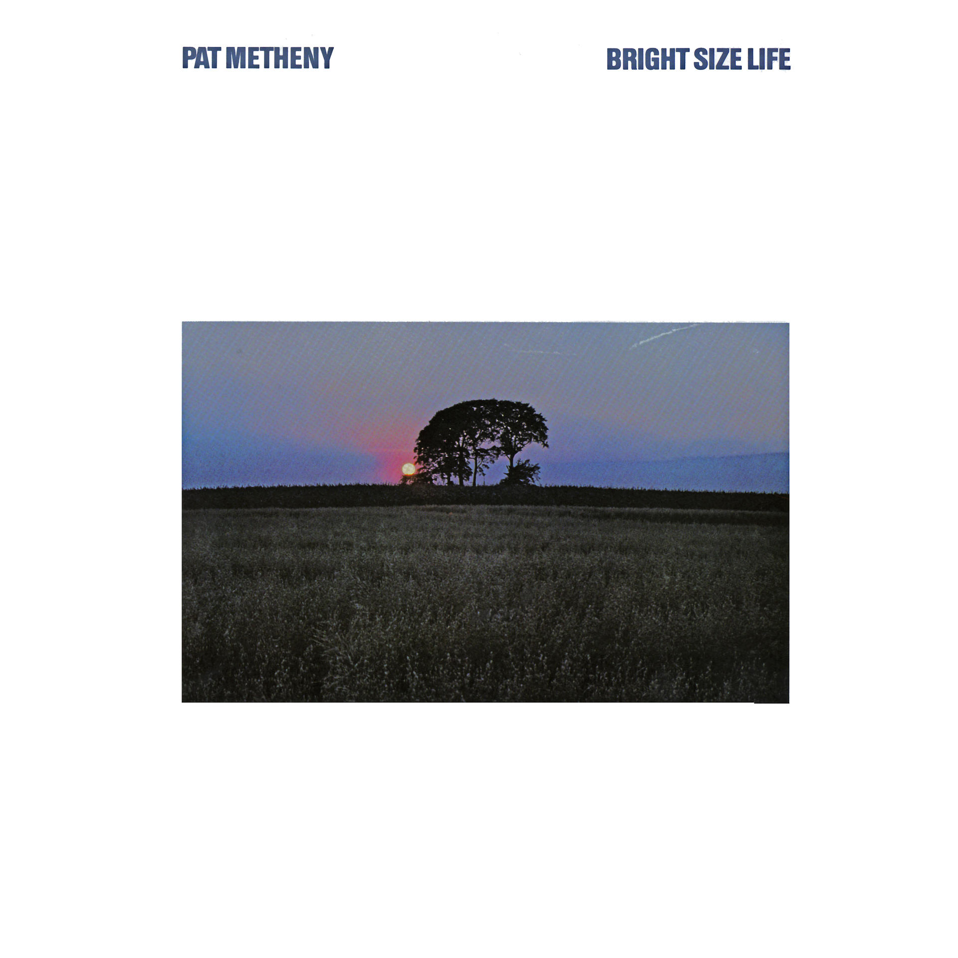Album borító: naplemente egy mező felett egy fa sziluettjével.