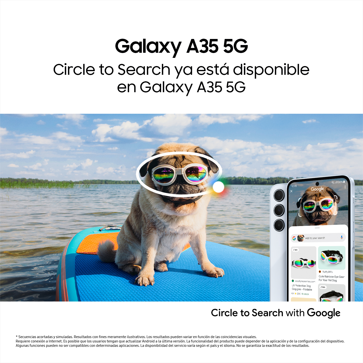 Un perro con gafas de sol en una tabla de paddle. Un teléfono muestra una pantalla de búsqueda.