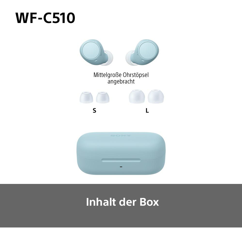 Ein hellblaues Etui mit Ohrhörern und zusätzlichen Ohrstöpseln. Der Text lautet 'Inhalt der Box'.