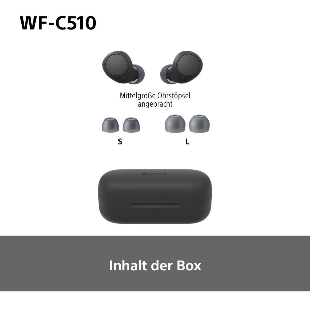 Schwarze Ohrhörer und Ladeetui. Es gibt unterschiedlich große Ohrstöpsel.