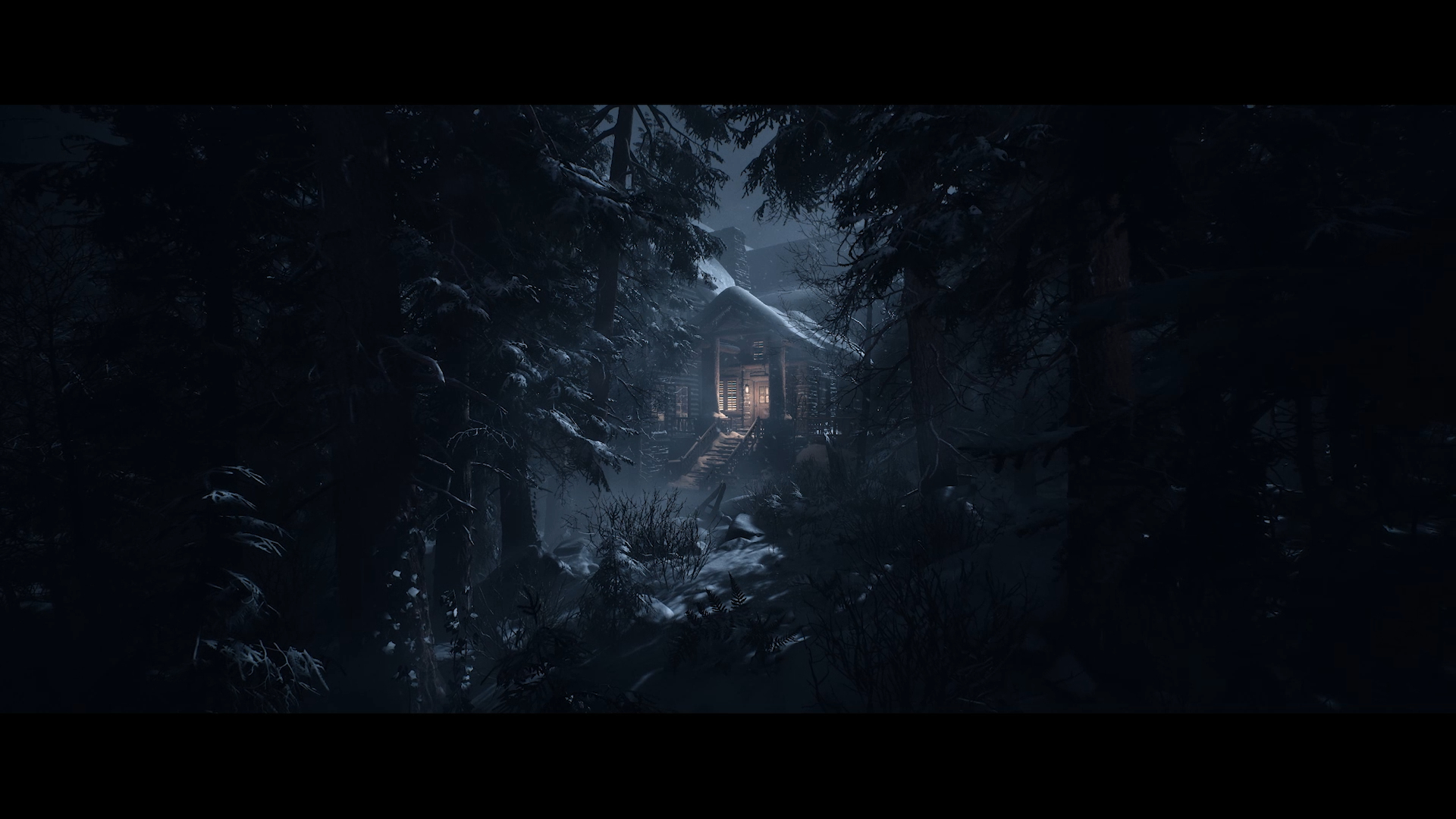 Eine Hütte in einem dunklen Wald bei Nacht. Lichter sind von den Fenstern der Hütte aus sichtbar.