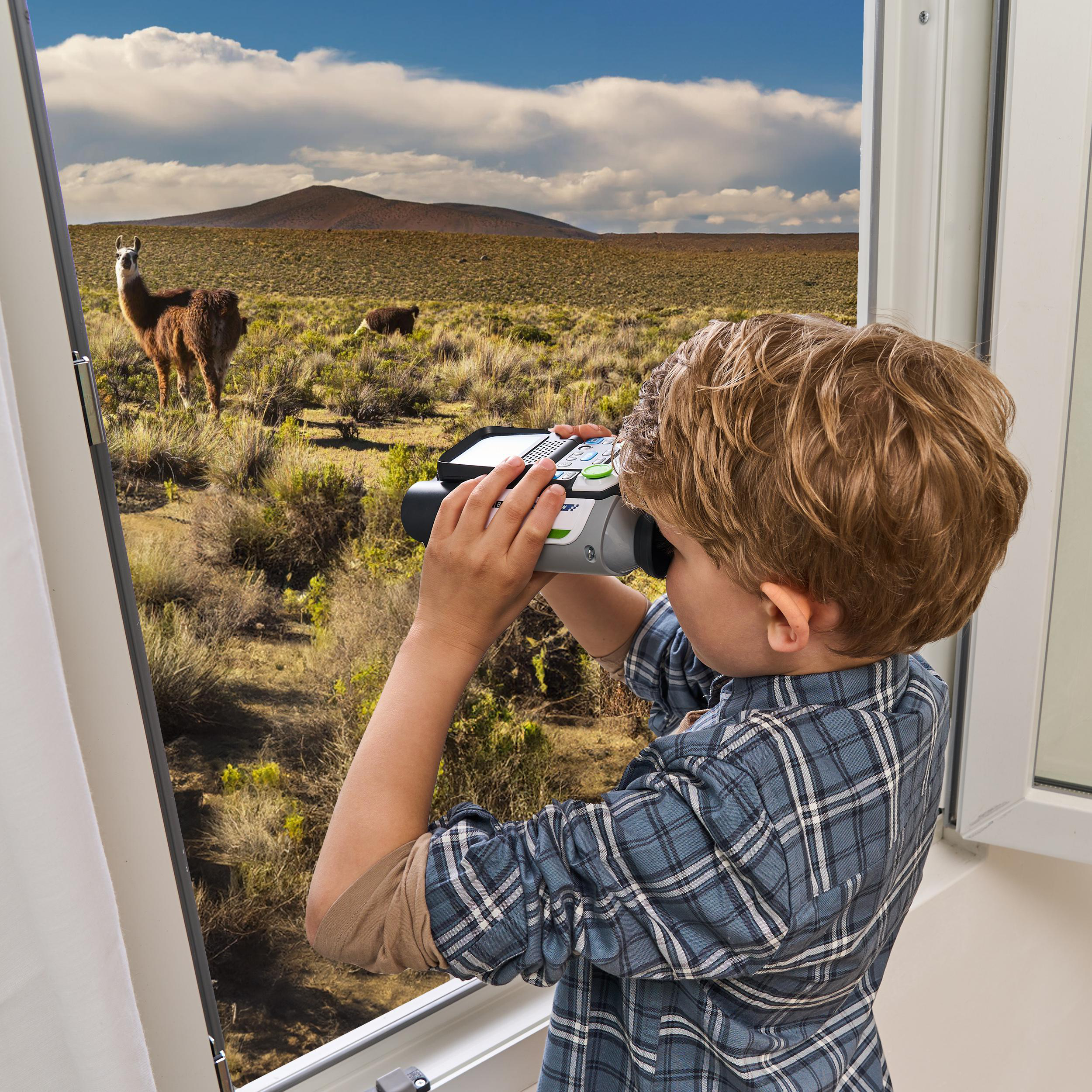 Ein Junge, der durch ein Fenster mit einem Fernglas Lamas auf einem Feld betrachtet, mit blauem Himmel.