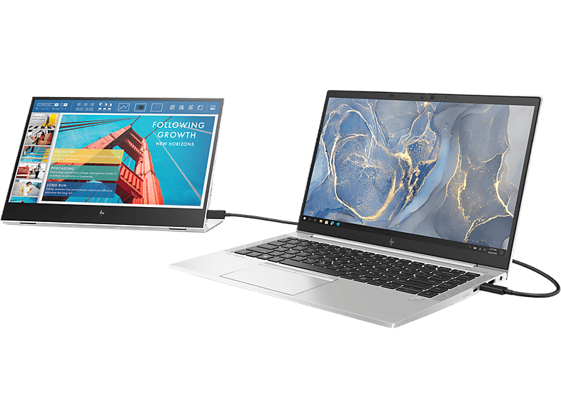 HP E14 G4 Draagbare Monitor