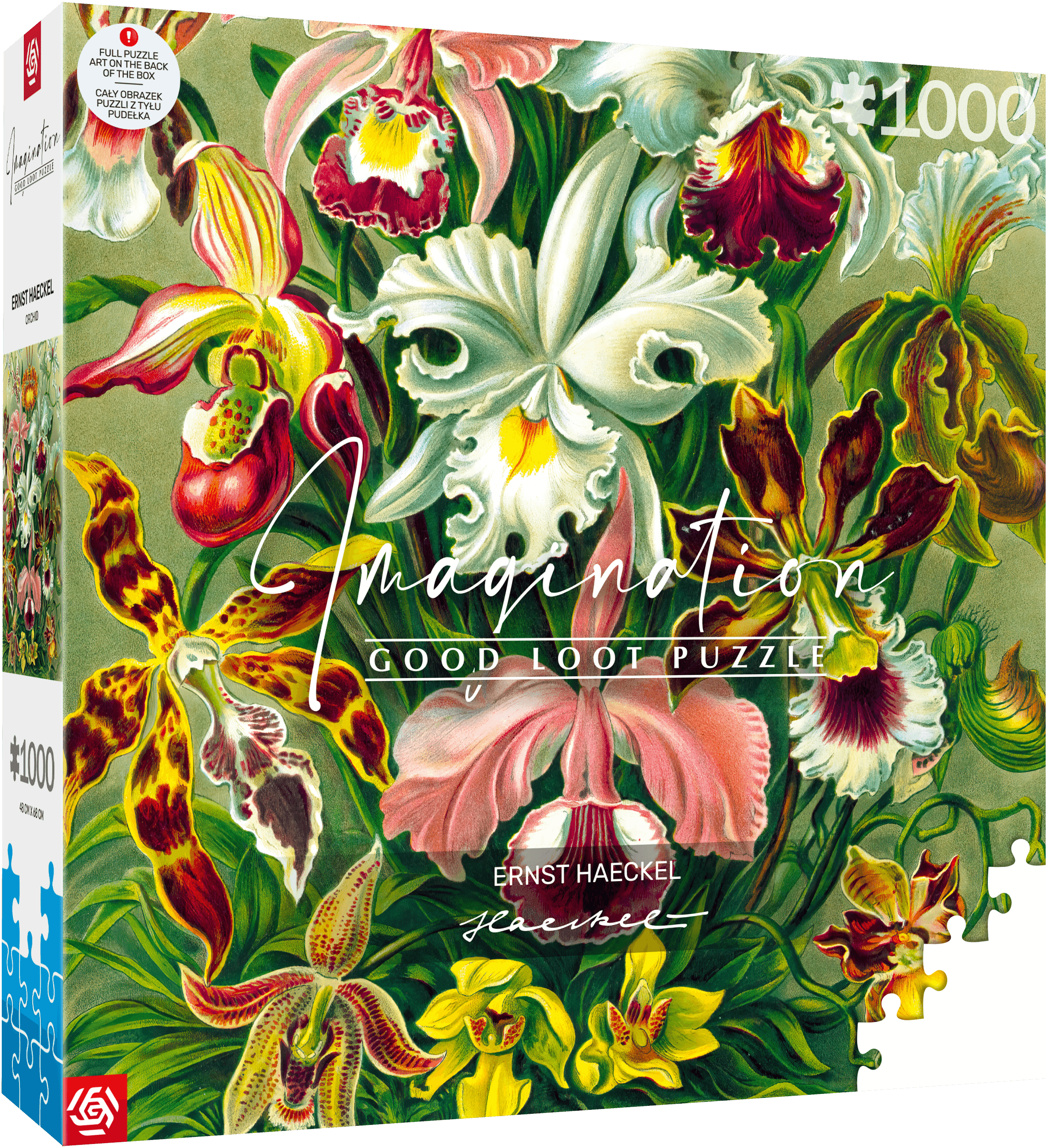 Imagination: Ernst Haeckel - Orchid 1000 db-os puzzle