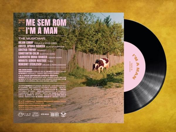 Vinyl-Schallplattenhülle mit Kuh auf Feld und pinkfarbenem Etikett.