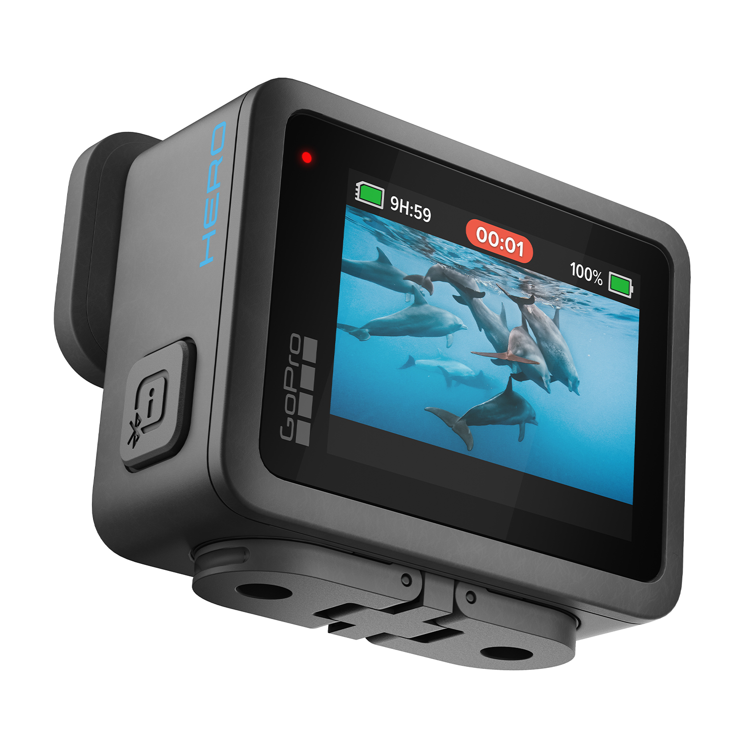 Una videocamera GoPro che mostra un video di delfini che nuotano sott'acqua.