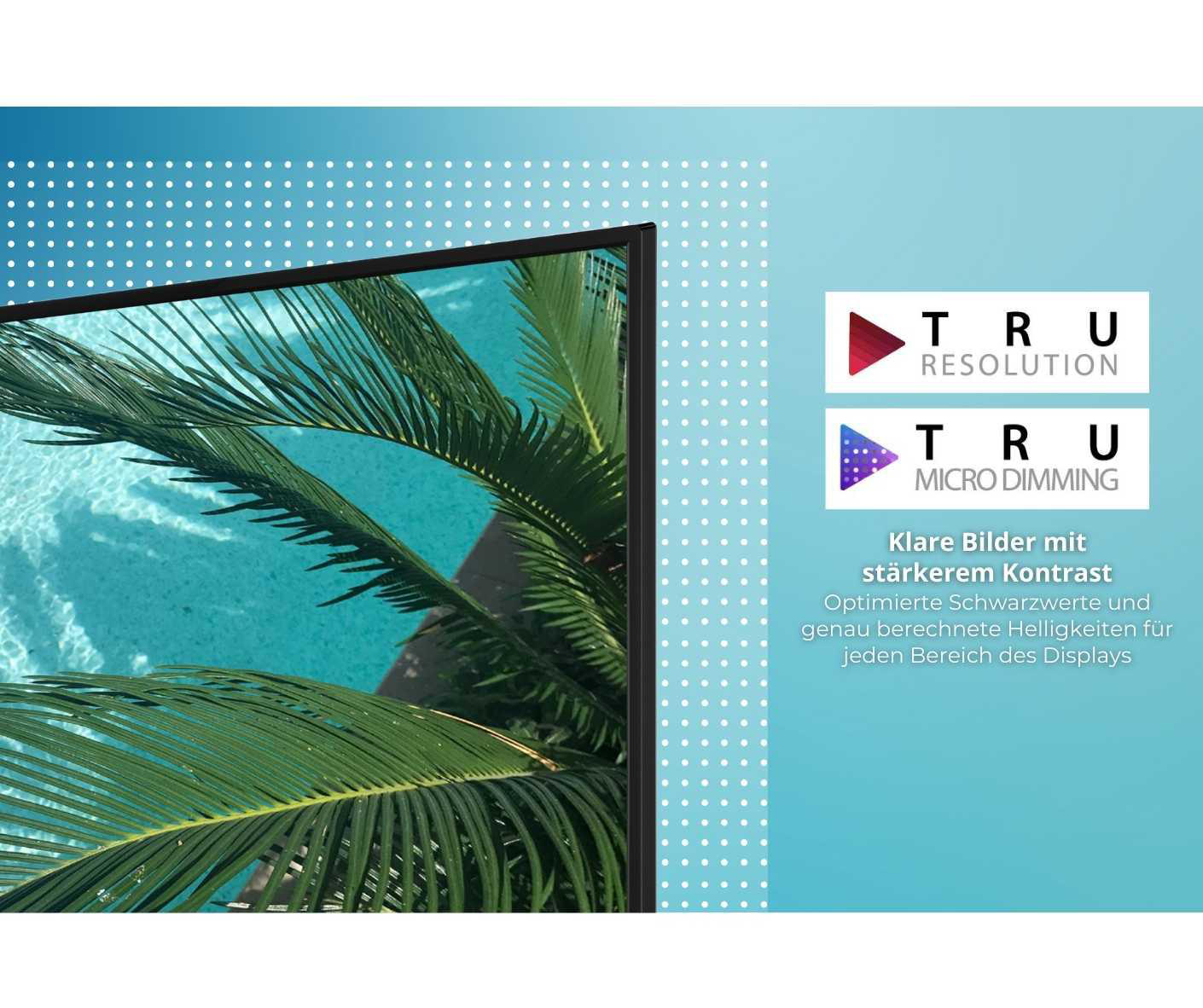 TV-Bildschirm mit Palme und Pool. Text: Klare Bilder mit stärkerem Kontrast.