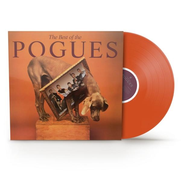 Albumcover mit Hund, der Foto der Band hält, orangefarbene Schallplatte.