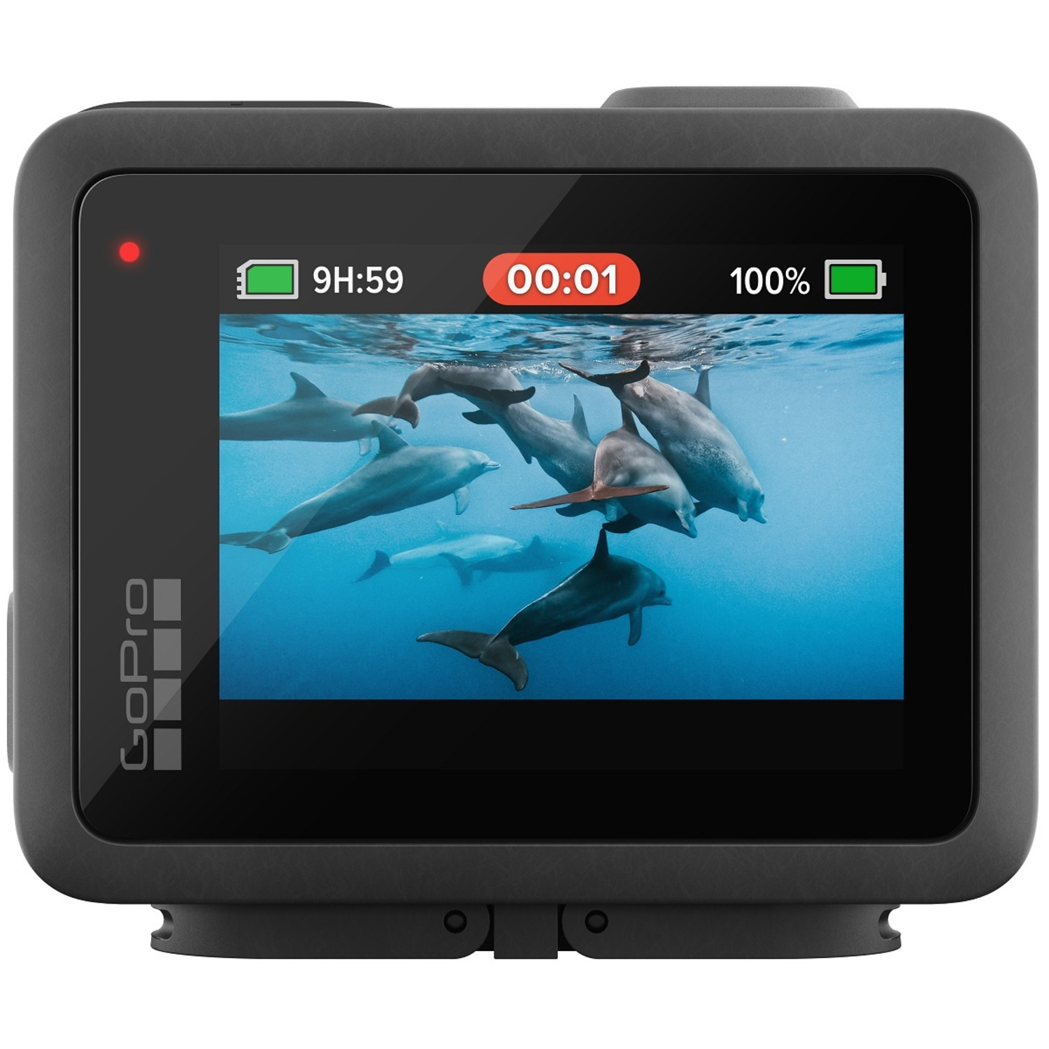 GoPro-camera die dolfijnen in het water weergeeft, met zichtbare tijd en batterijduur.