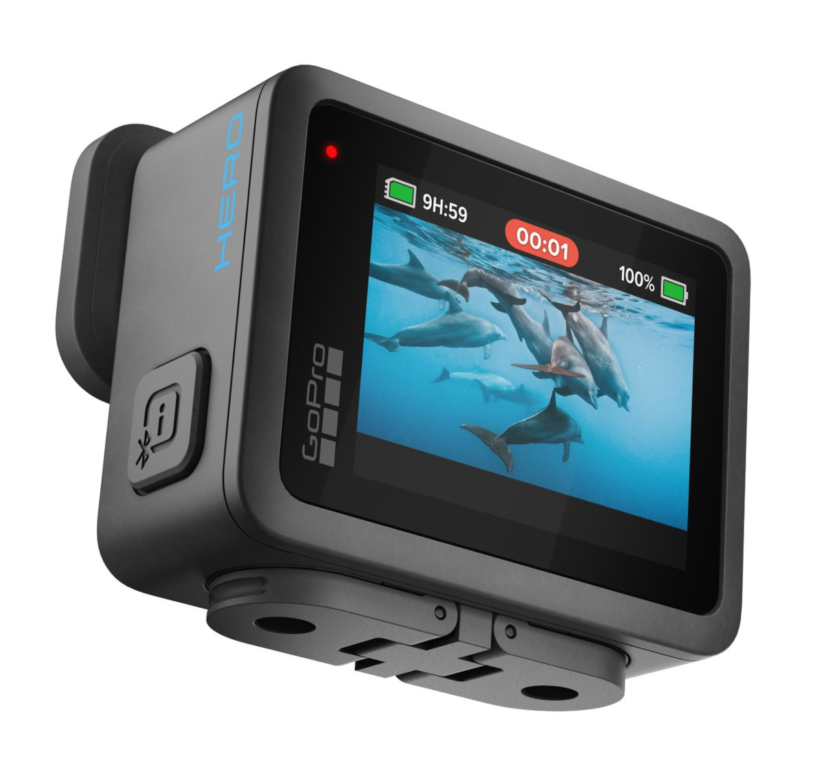 Kamera GoPro pokazująca na wyświetlaczu delfiny pod wodą, z informacjami o baterii i czasie.