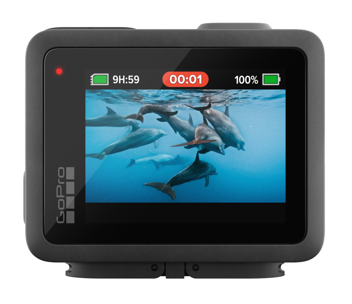 Ekran kamery GoPro pokazujący delfiny pod wodą. Wyświetlany jest czas i żywotność baterii.