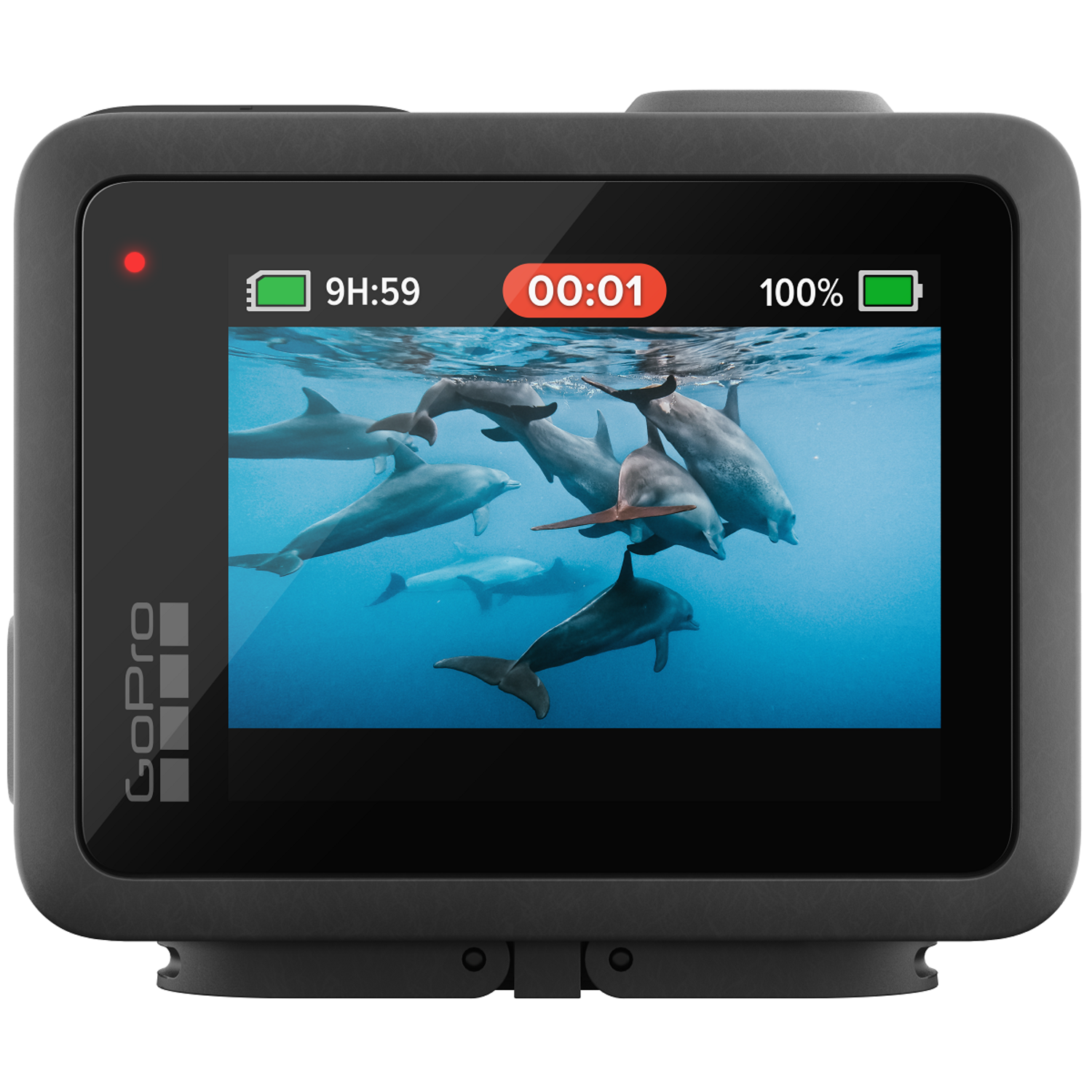 GoPro screen displaying dolphins underwater. The camera is black with a red light on top.