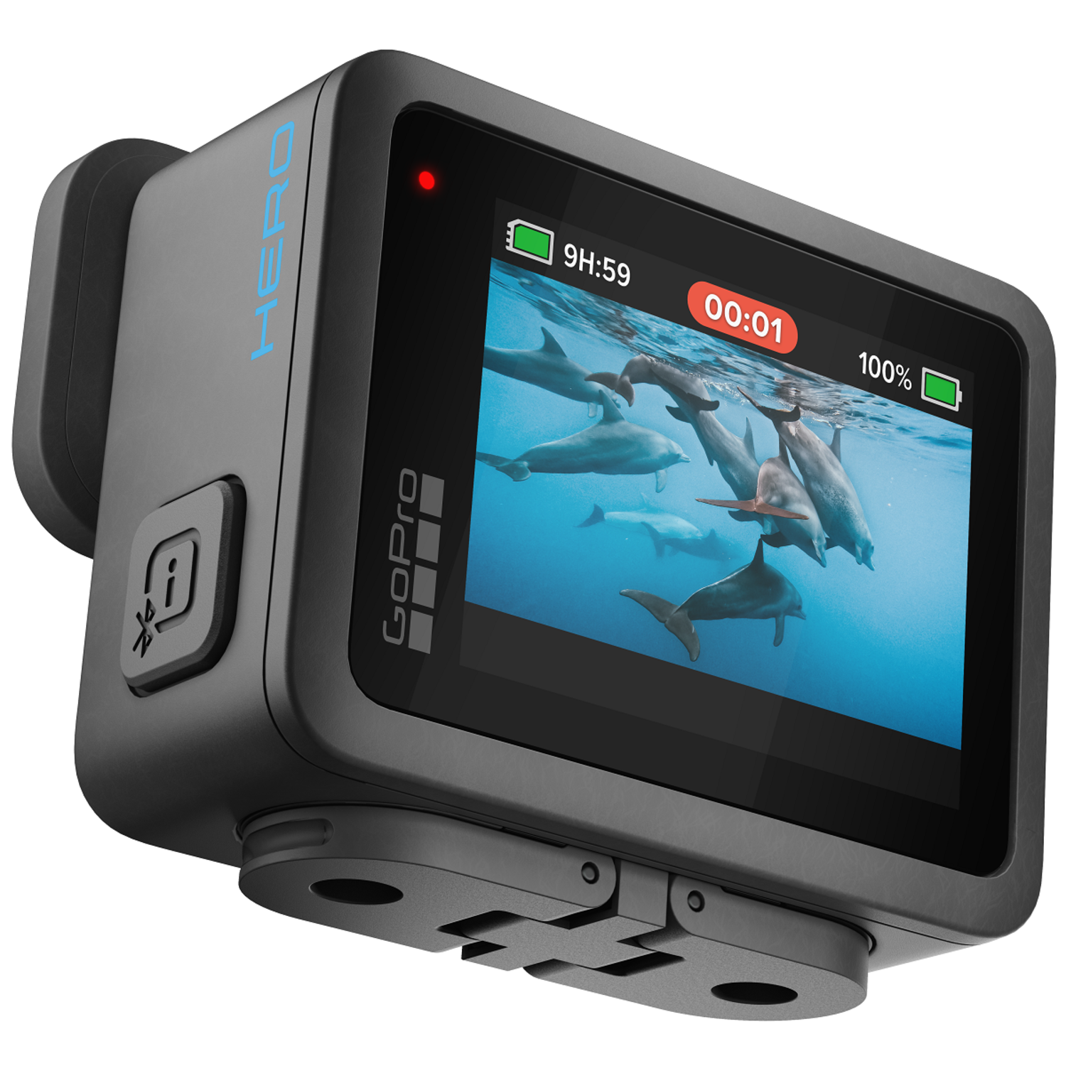 GoPro Hero camera displaying dolphins underwater. Screen shows recording time.