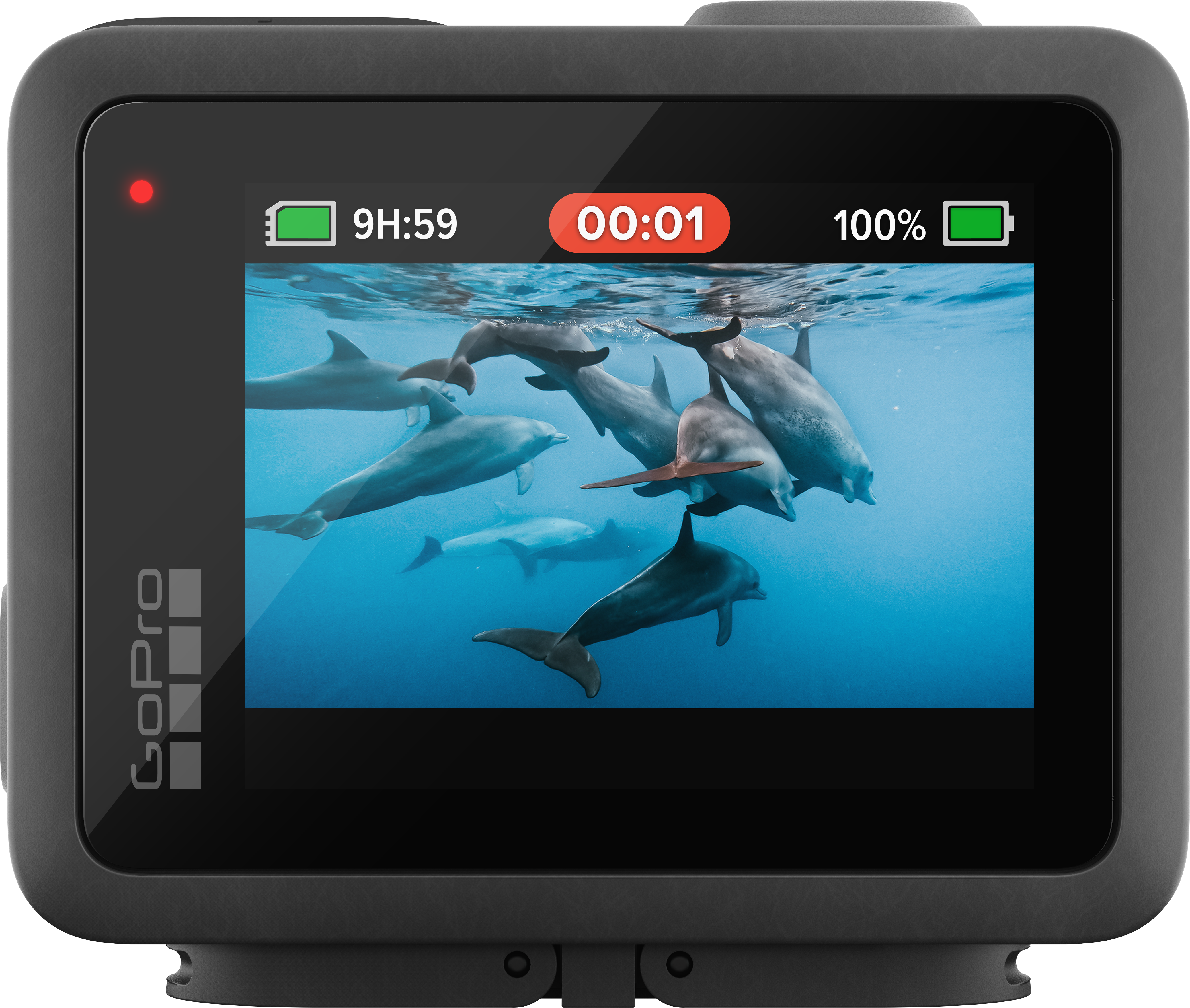 GoPro képernyő, amely víz alatti delfineket mutat. Akkumulátor, idő és felvételi információk. Fekete GoPro kamera.