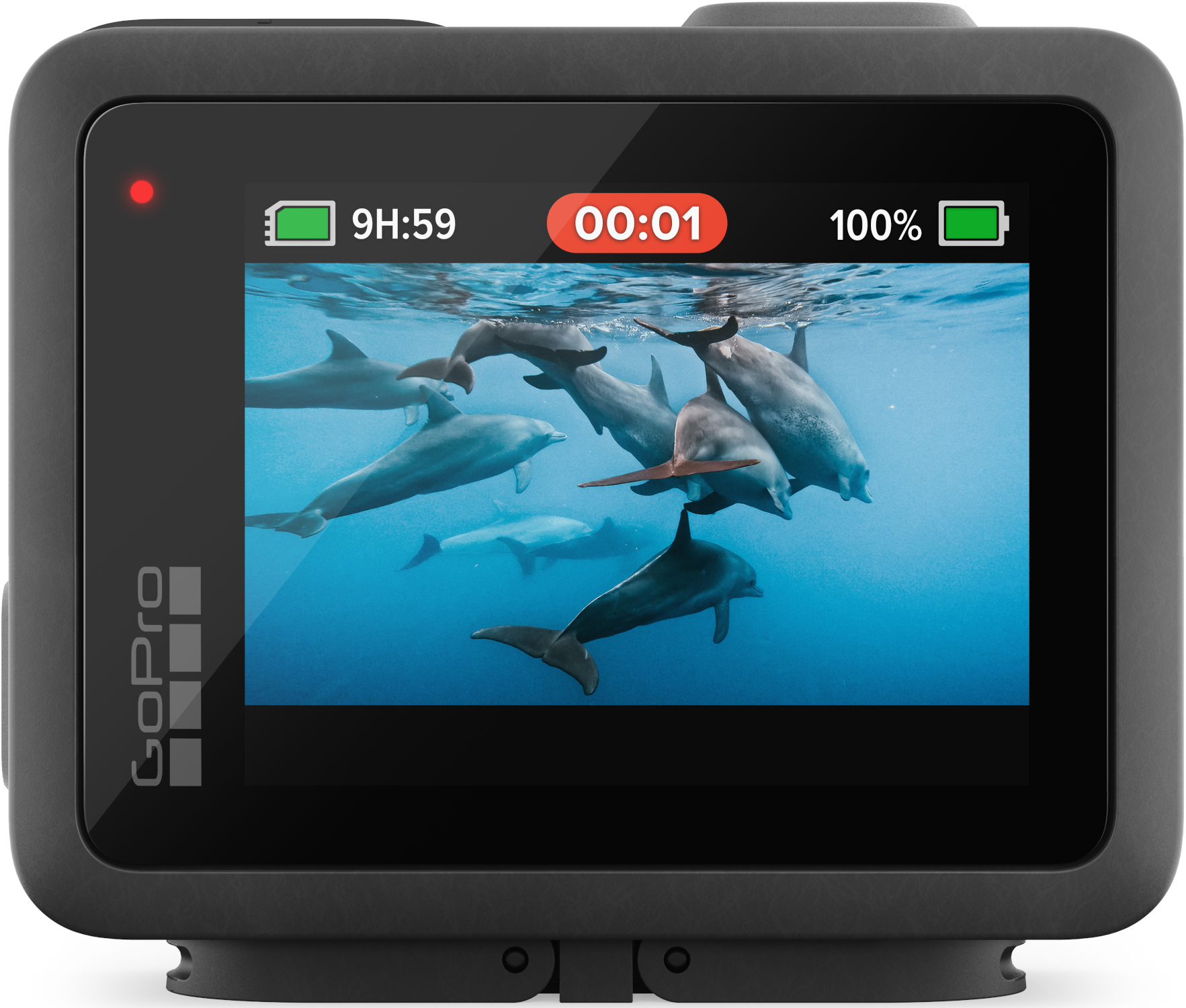 GoPro-Action-Kamera-Bildschirm, der Delfine unter Wasser, Akku und Aufnahmezeit zeigt.