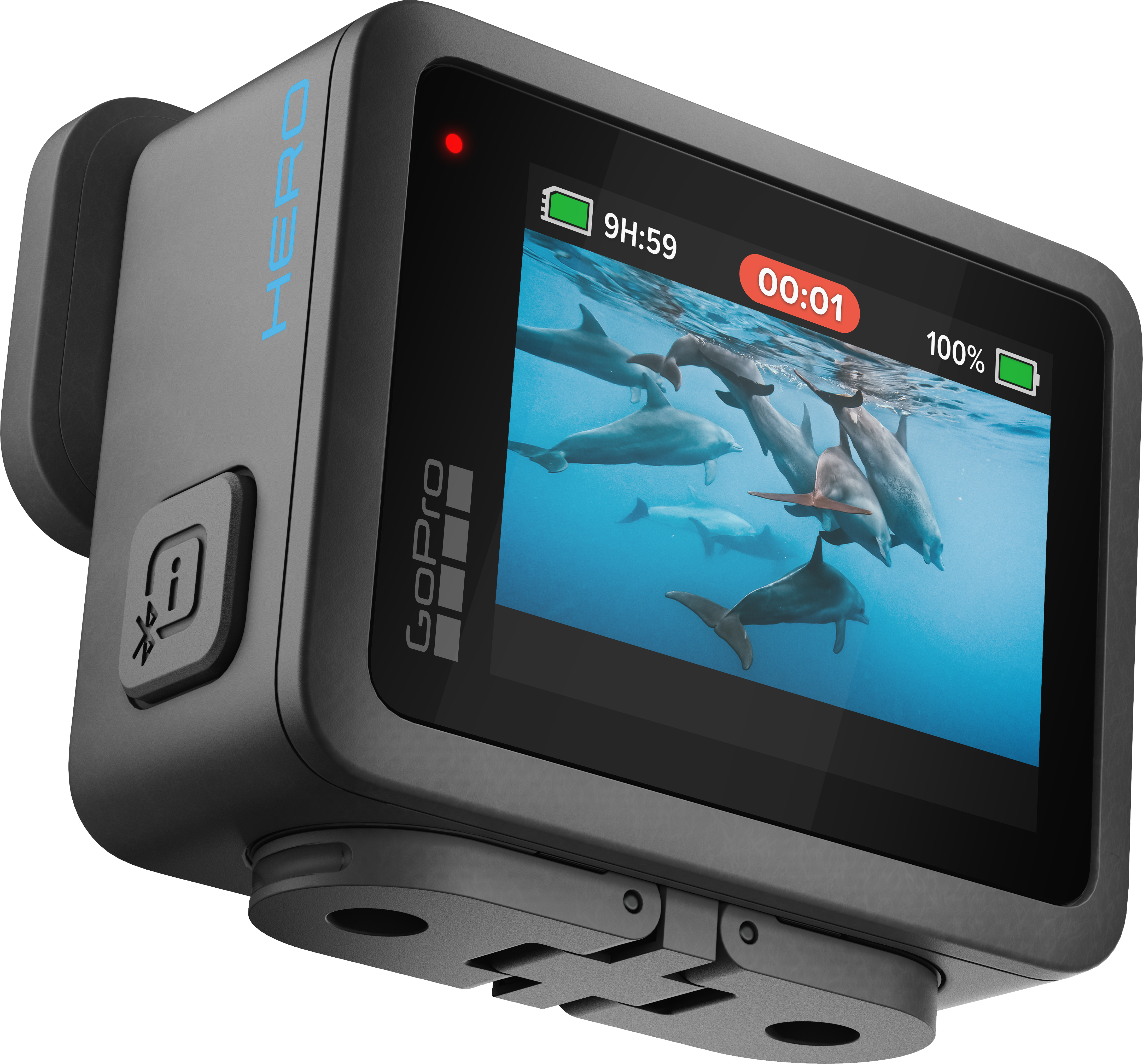 GoPro Hero 11 Black Kamera Bildschirm zeigt Delfine unter Wasser, mit Akku und Timer.