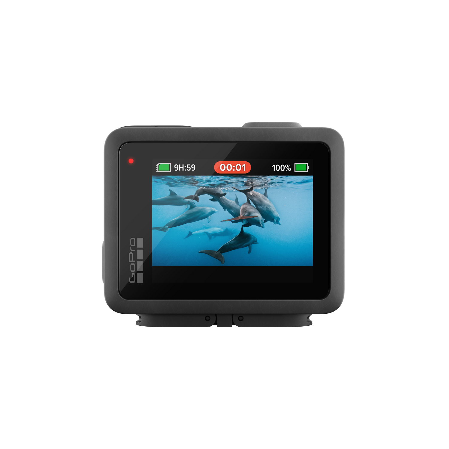 Cámara GoPro mostrando un video de delfines bajo el agua.