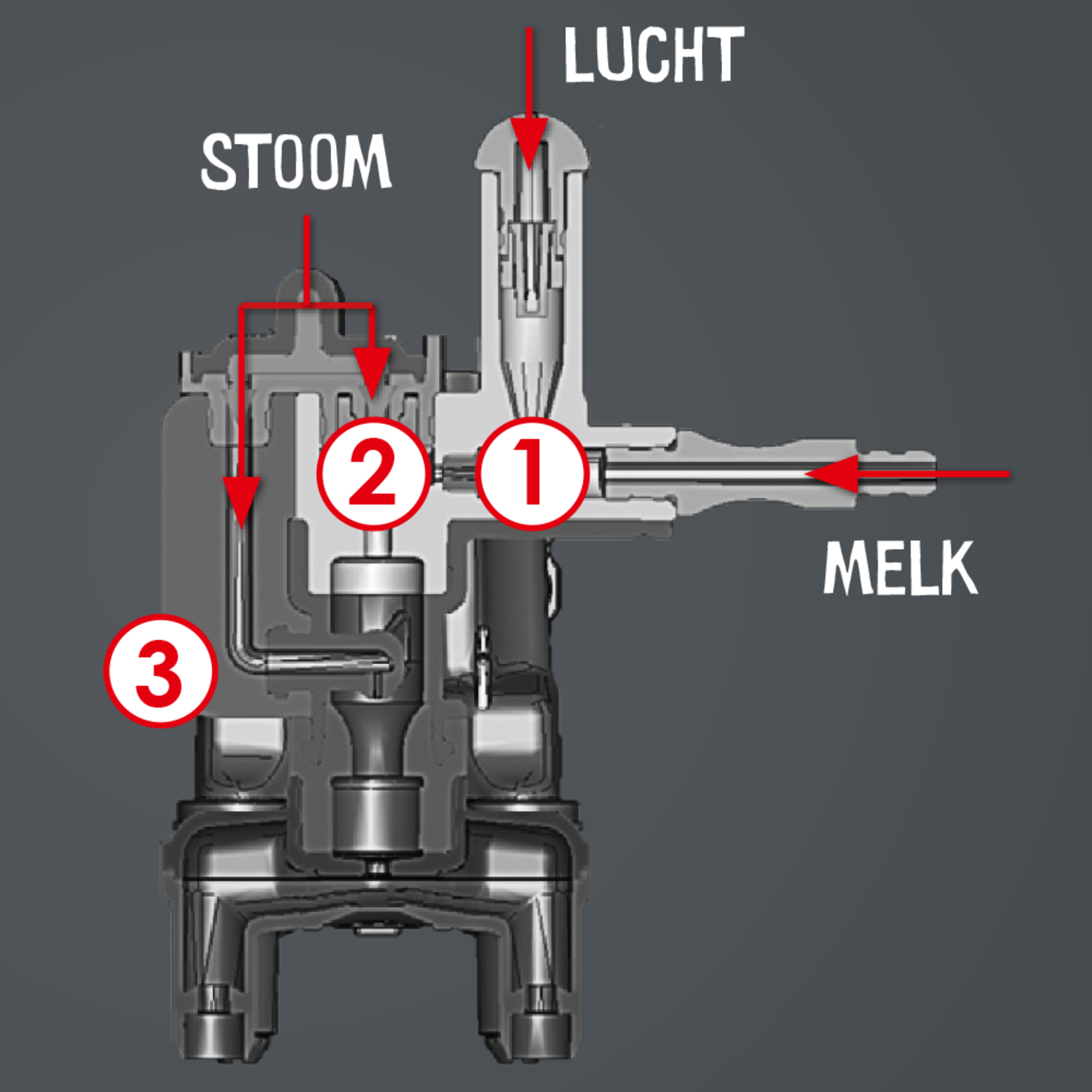 Diagram of a coffee machine showing the flow of milk, steam and air.
