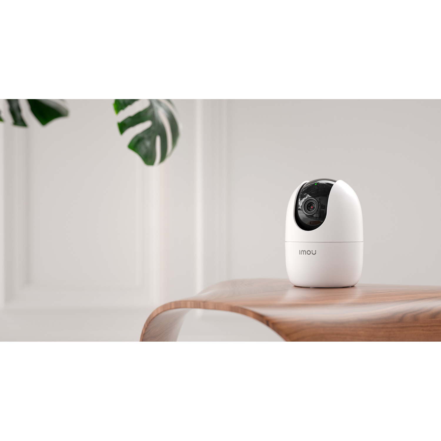 A white Imou security camera sits on a wooden table, beside a plant with green leaves.