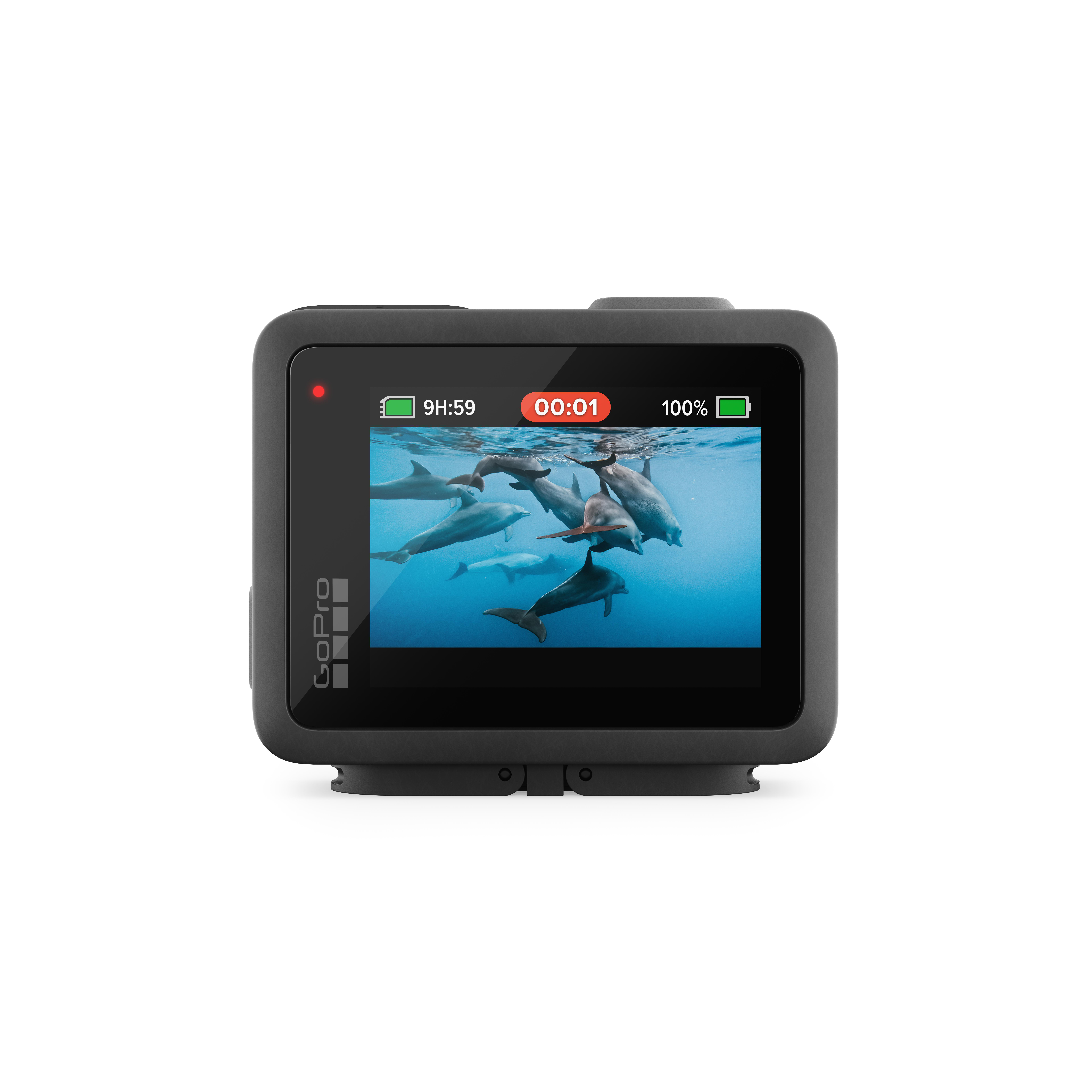 GoPro-Kamera, die einen Bildschirm mit Delphinen im Wasser anzeigt.