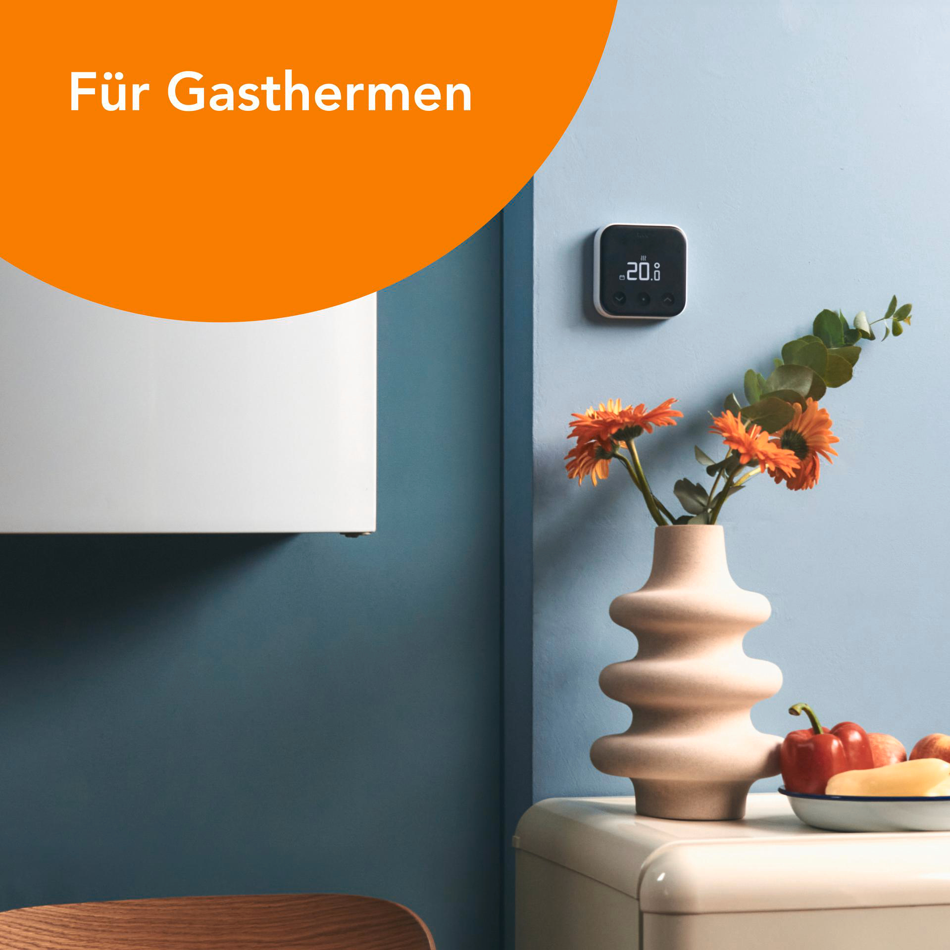 Interieur mit Wand, Vase, Blumen und einem Thermostat.