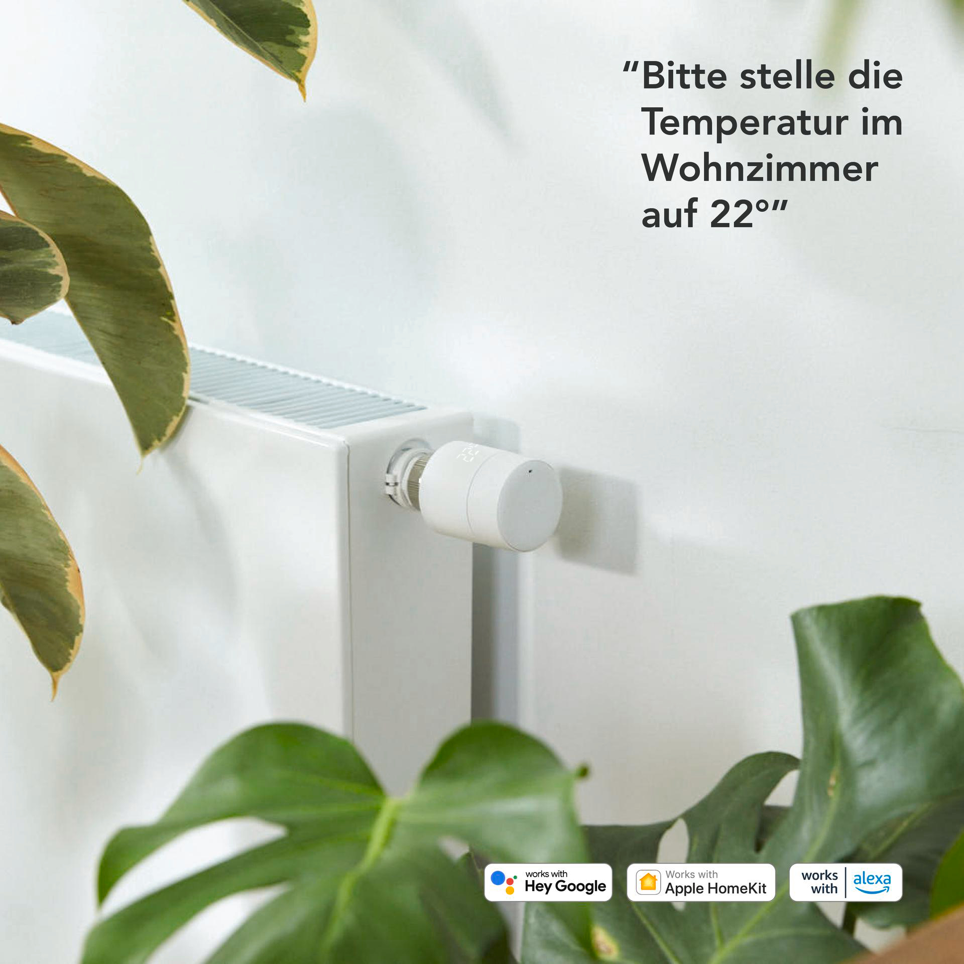 Thermostat an Heizkörper mit Text zum Einstellen der Temperatur.