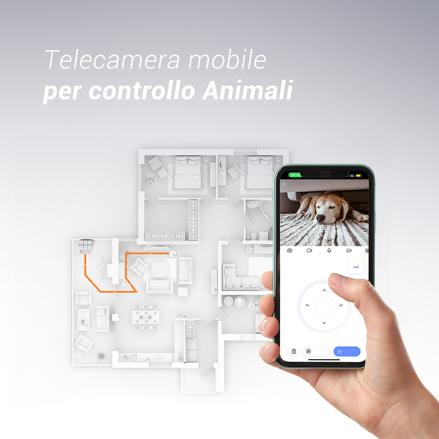 Un telefono mostra un cane sullo schermo. Planimetria a sinistra, mano che tiene il telefono.