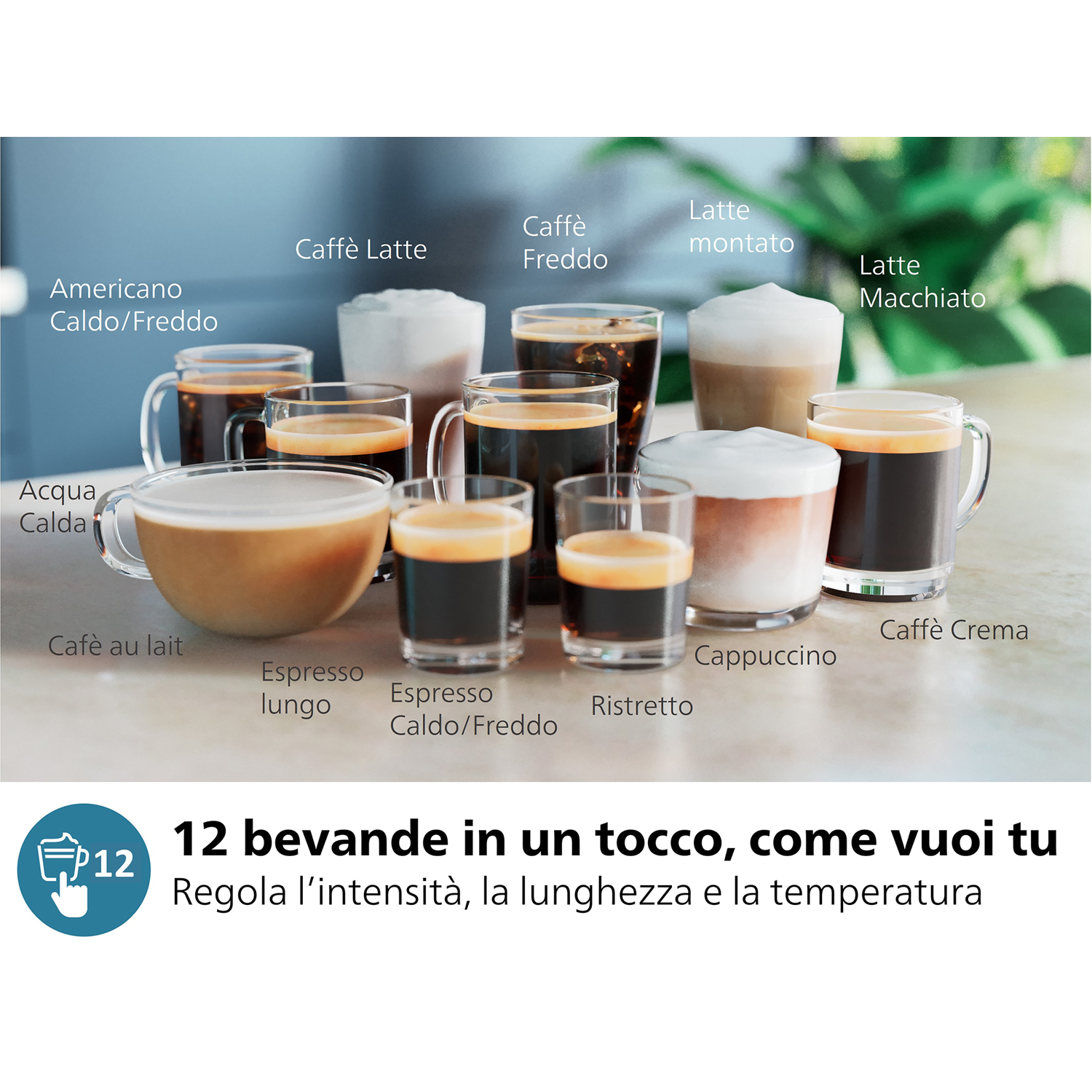 Varie bevande al caffè in bicchieri. Le etichette identificano ciascuna: cappuccino, espresso, latte, ecc.