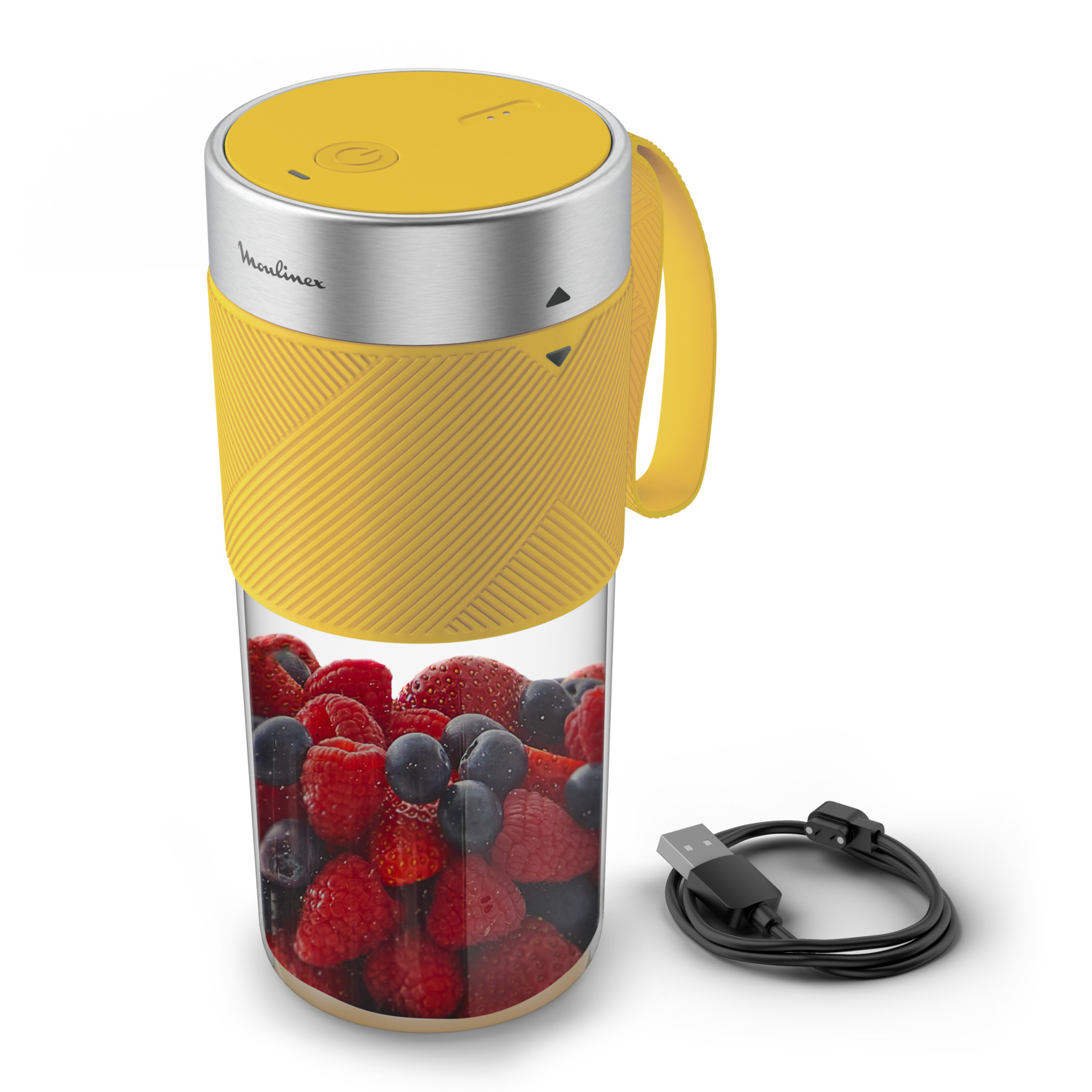 MOULINEX Portable Blender (LM1C0210)