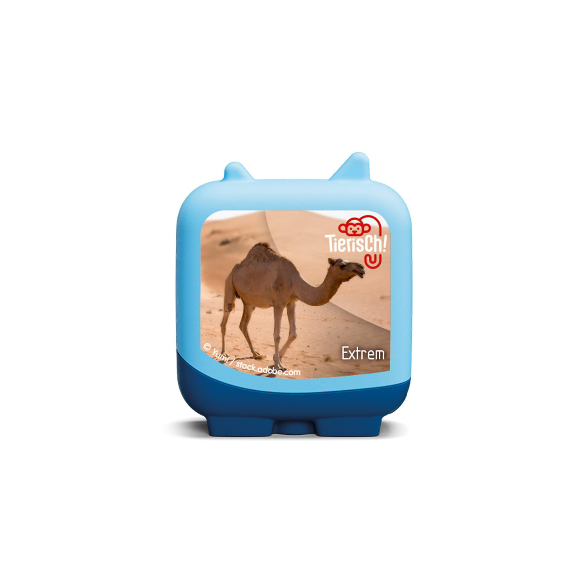 Ein blaues Spielzeug mit Kamelbild in einer Wüstenumgebung.