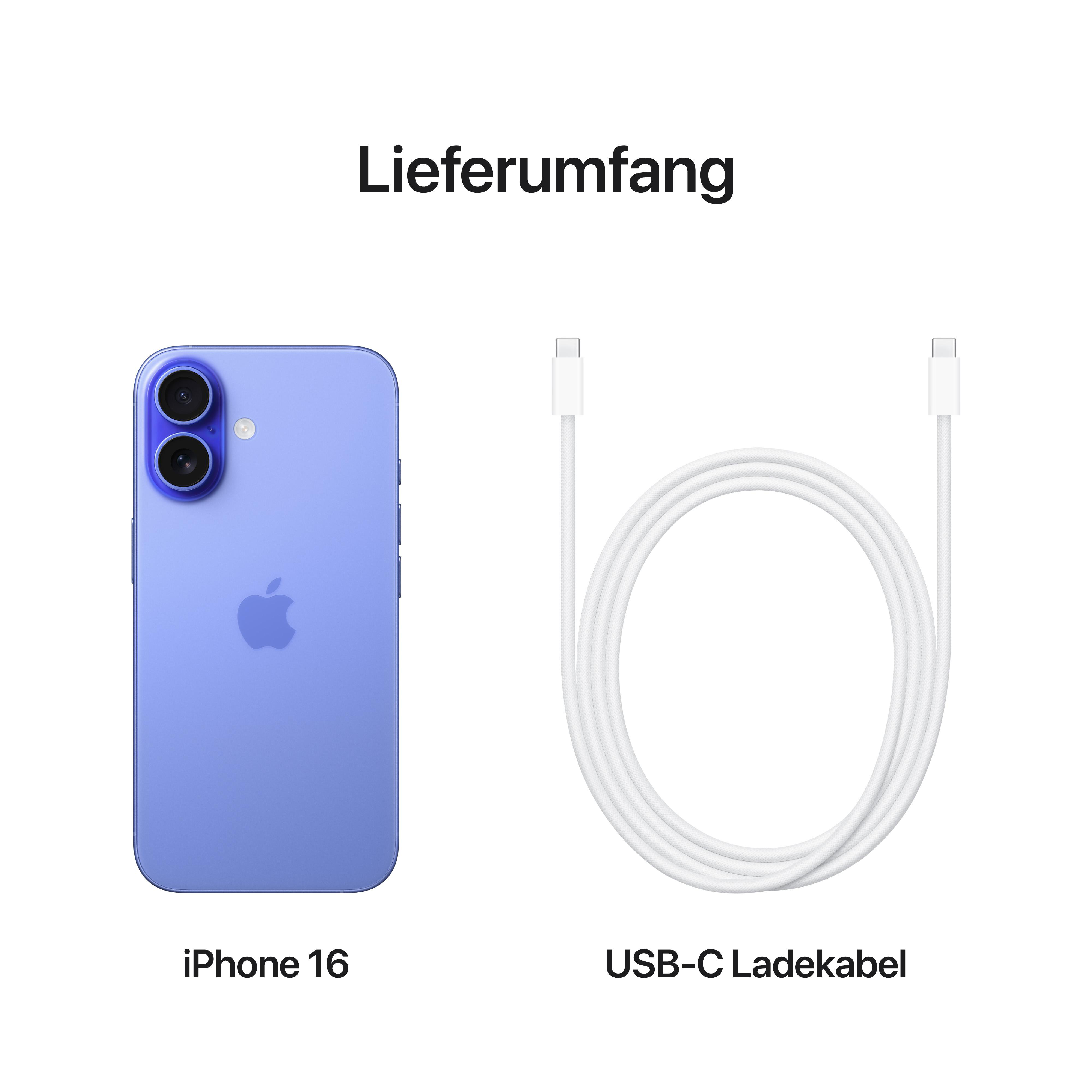 Blaues iPhone und ein weißes USB-C-Ladekabel. Das iPhone befindet sich links, das Kabel rechts.