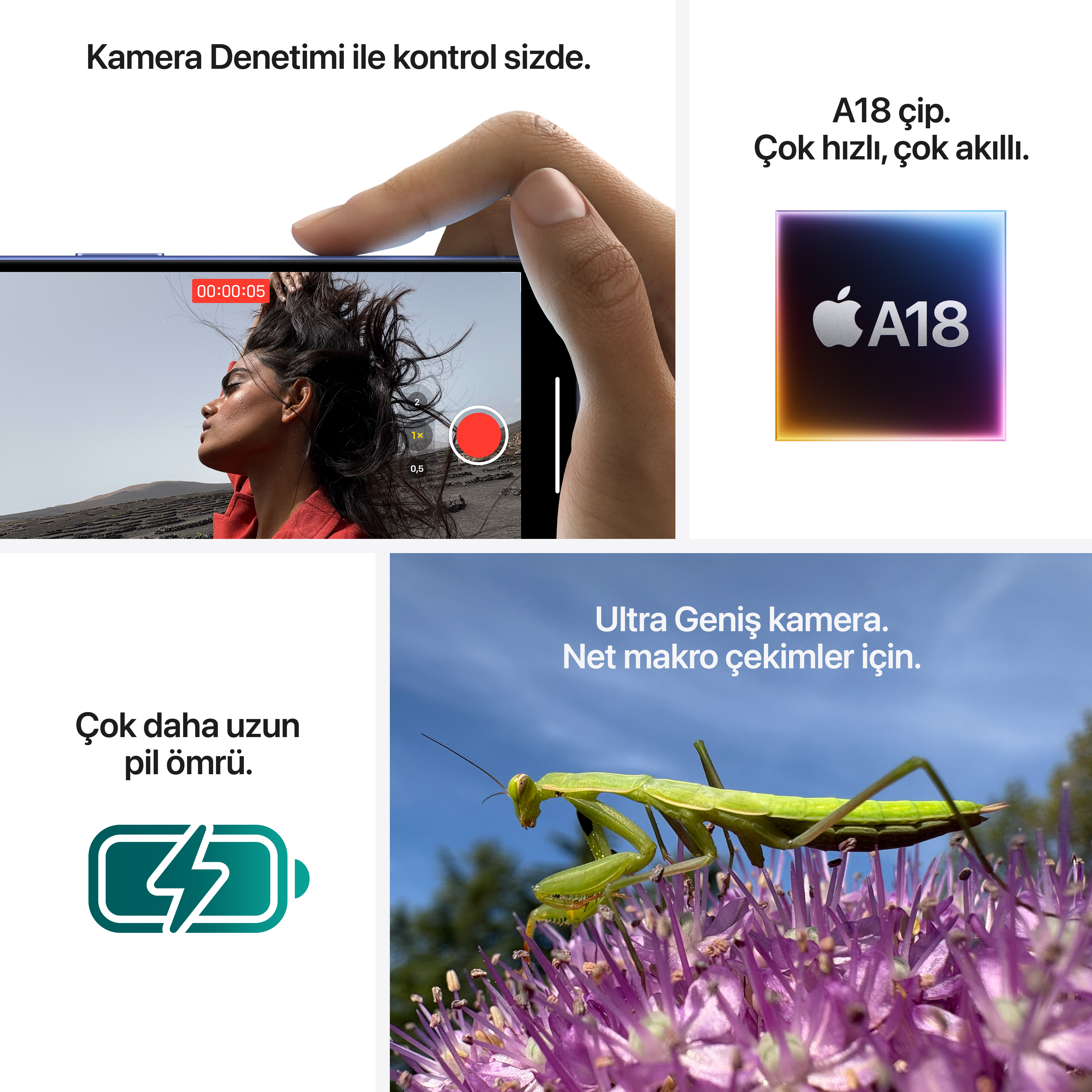Bir iPhone ile ilgili görüntülerin kolajı. Film çeken bir kadın, bir çip ve bir çiçek üzerinde bir peygamber devesi içerir.